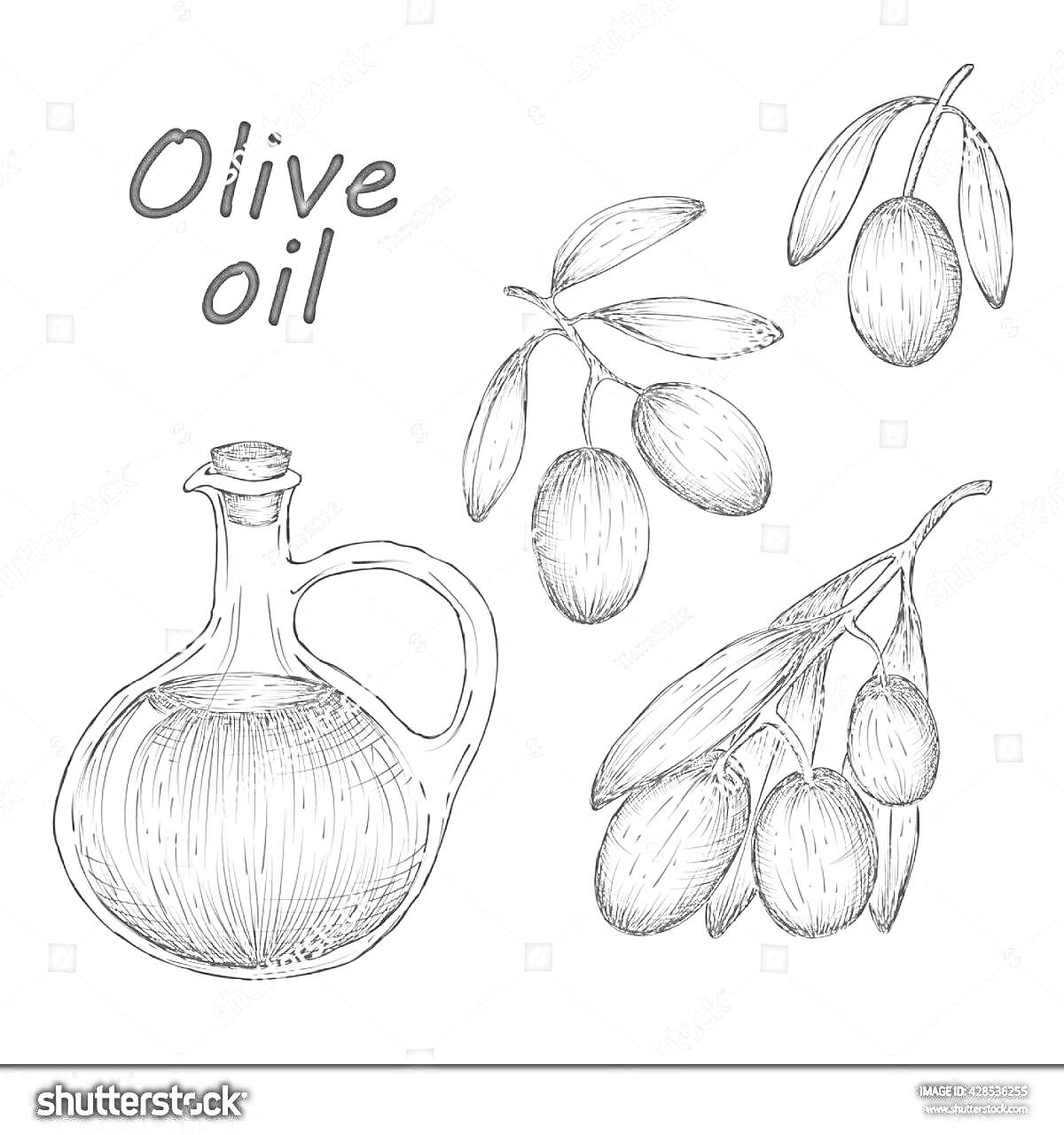 Раскраска Бутылка оливкового масла и ветви с оливками