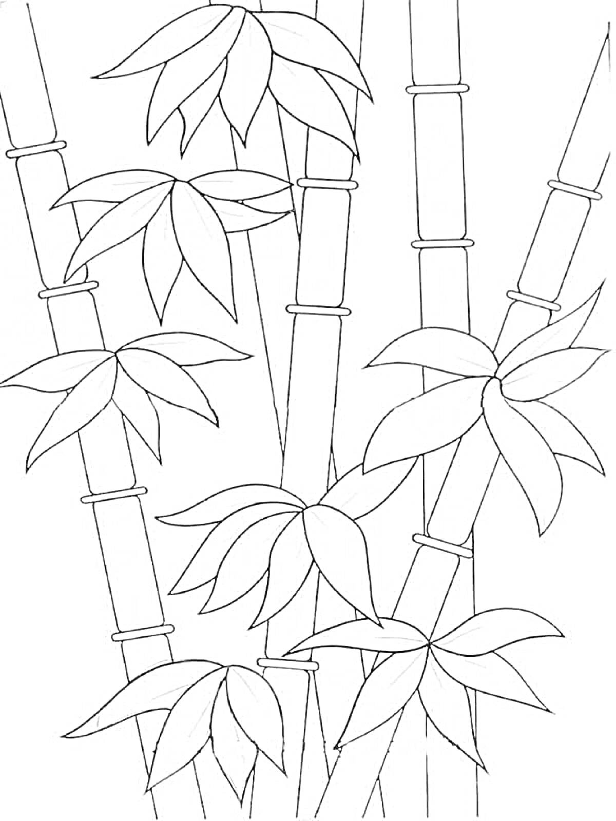 На раскраске изображено: Бамбук, Листья, Растения, Природа