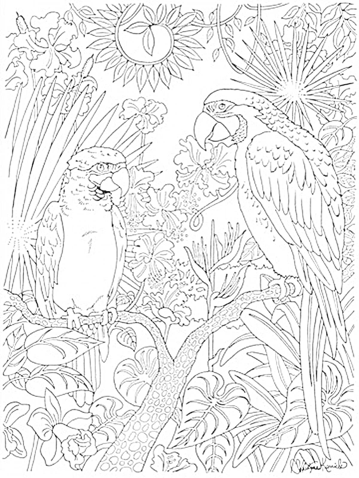 Раскраска Попугаи в тропическом лесу с цветами и растениями