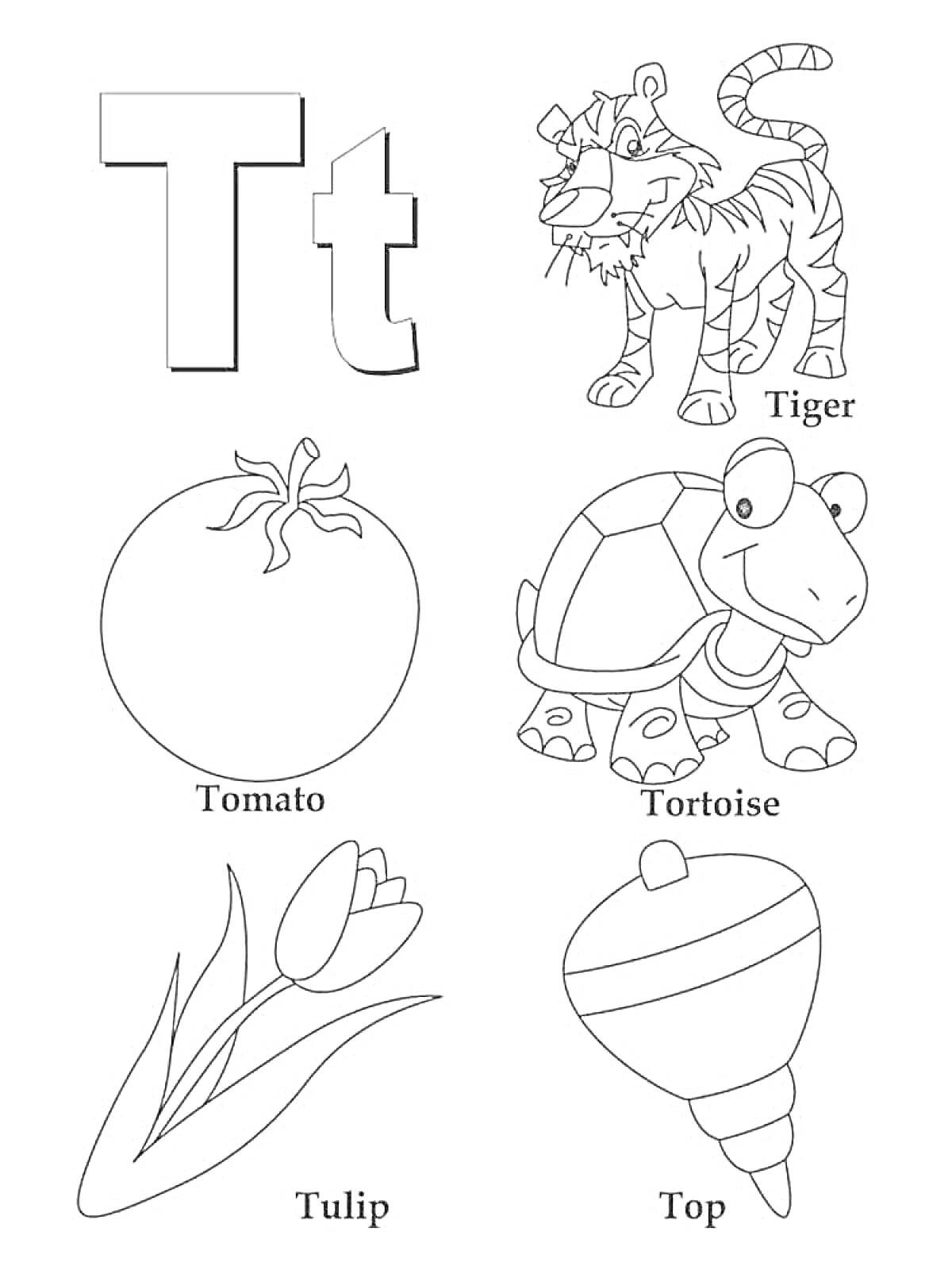 На раскраске изображено: Английский алфавит, Буква T, Тигр, Помидор, Черепаха, Волчок, Для детей, 2 класс