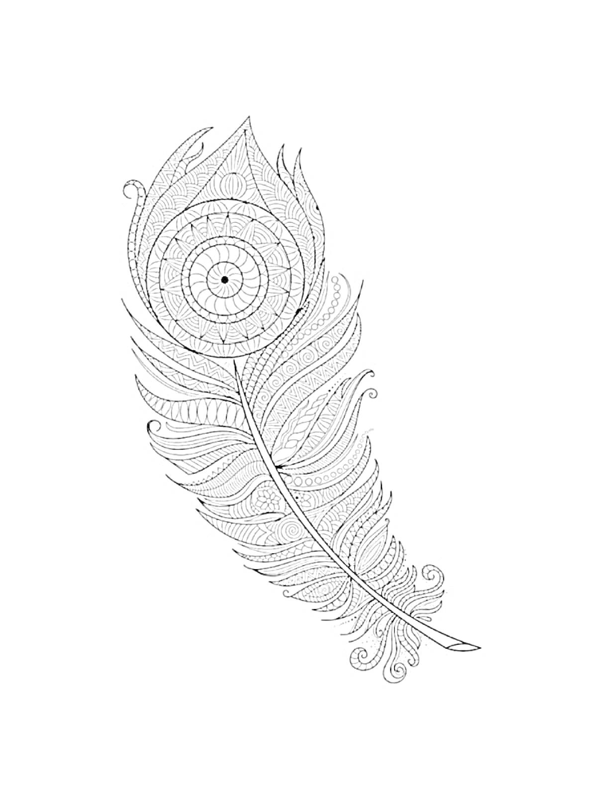 Раскраска Перо с декоративным узором в виде мандалы, спиральных и волнистых линий