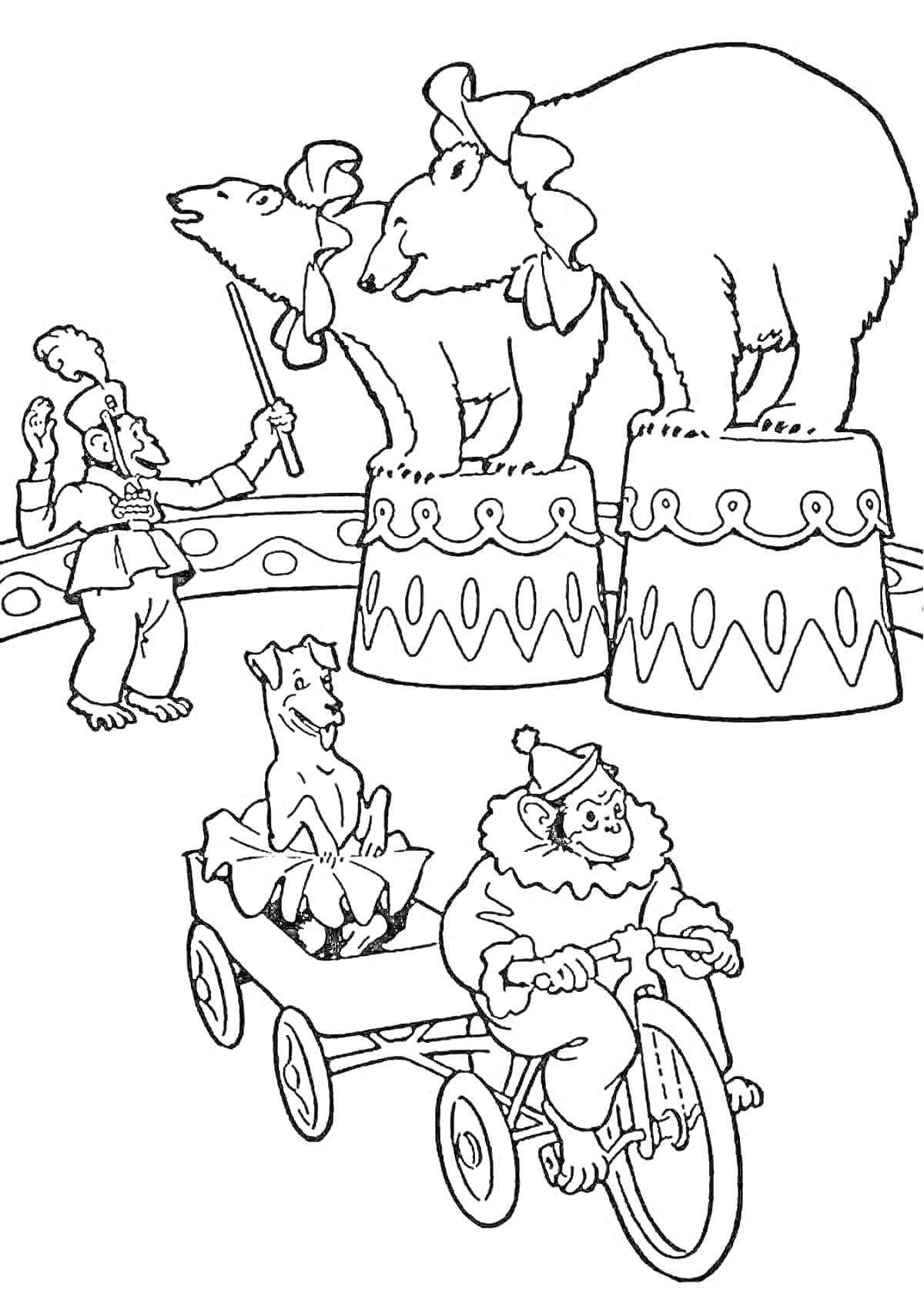 Раскраска арена цирка с дрессировщиком, двух медведями, собакой в вагончике и обезьяной на велосипеде