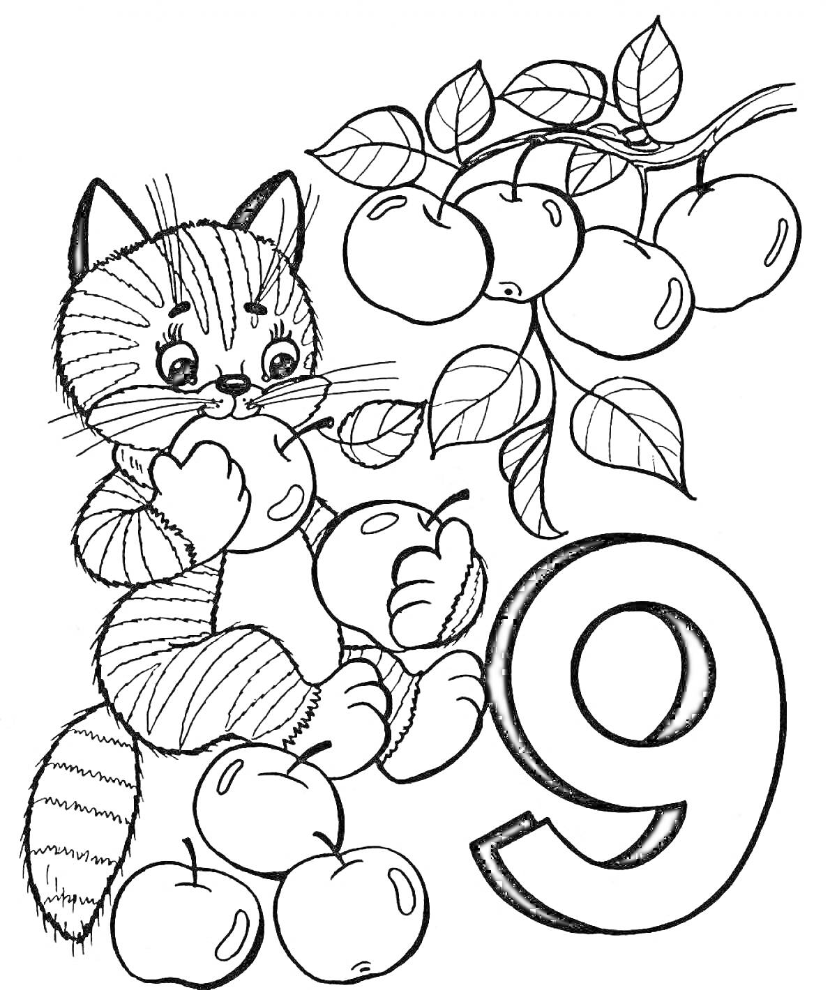 Раскраска Котёнок с яблоками и цифра 9