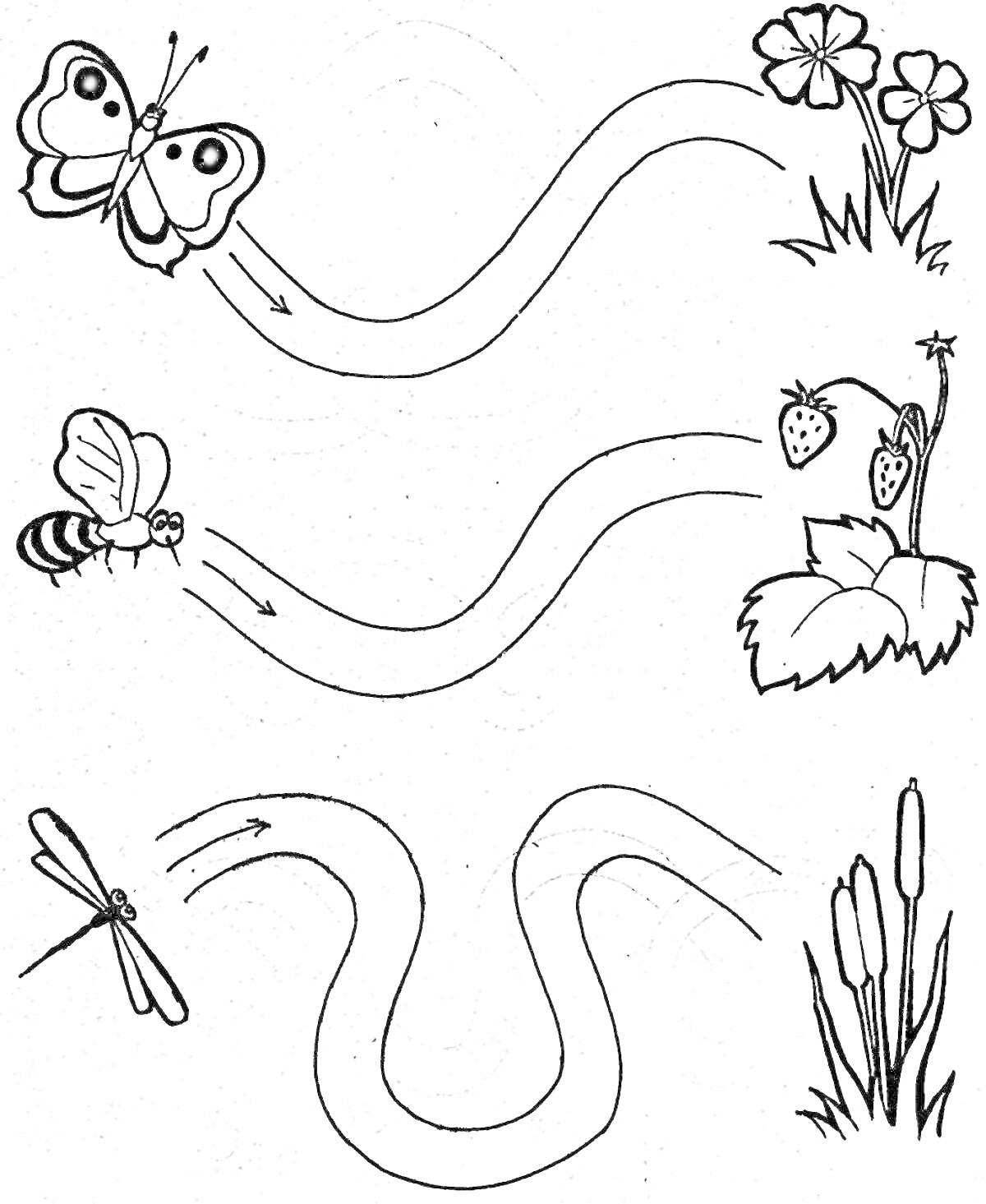 На раскраске изображено: Игра, 3-4 года, Бабочка, Пчела, Стрекоза, Ягоды, Тростник, Дорожка, Развивающая игра, Для детей, Цветы