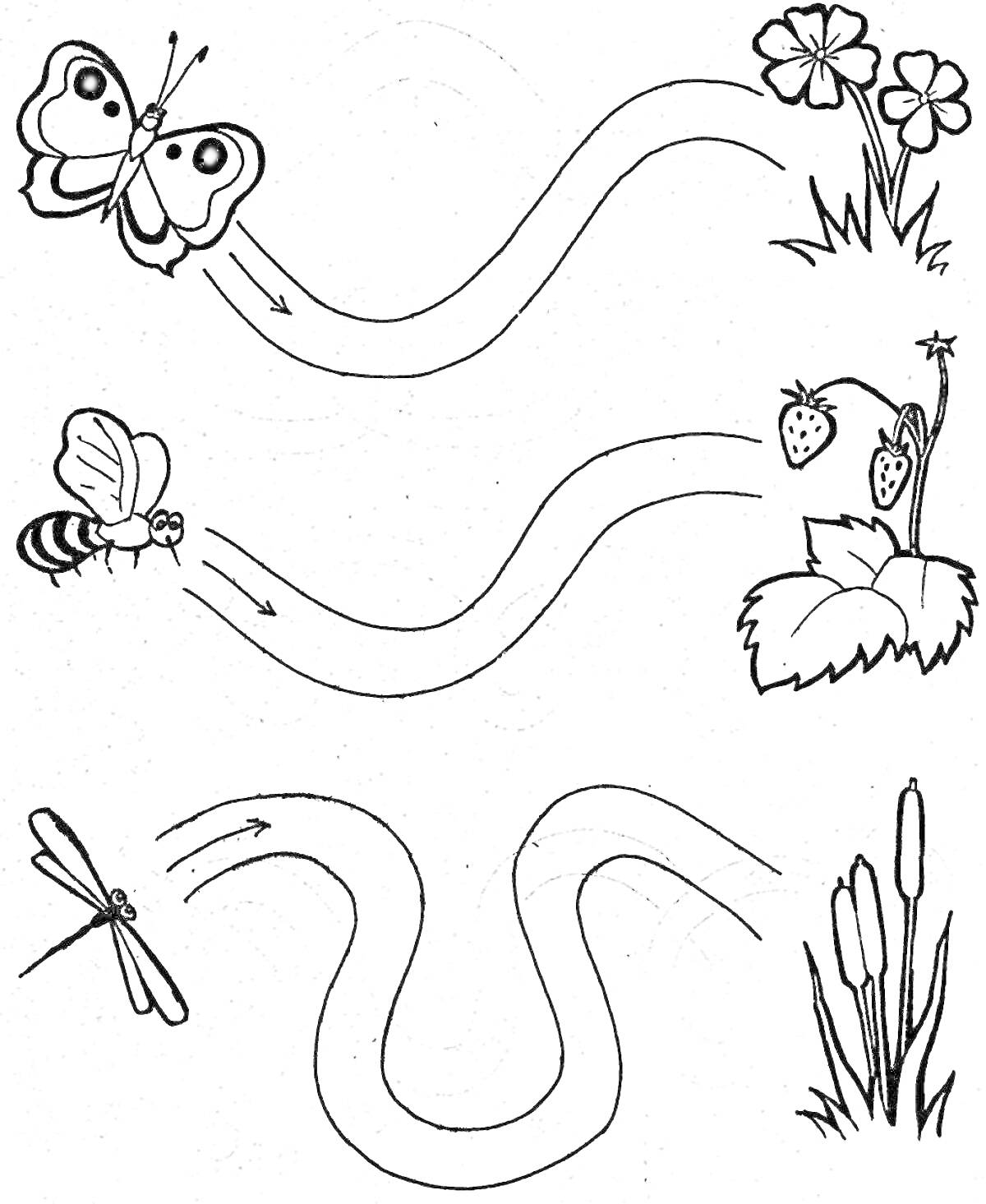 Раскраска Бабочка, пчела и стрекоза летят к цветку, ягодам и тростнику по зигзагообразным дорожкам