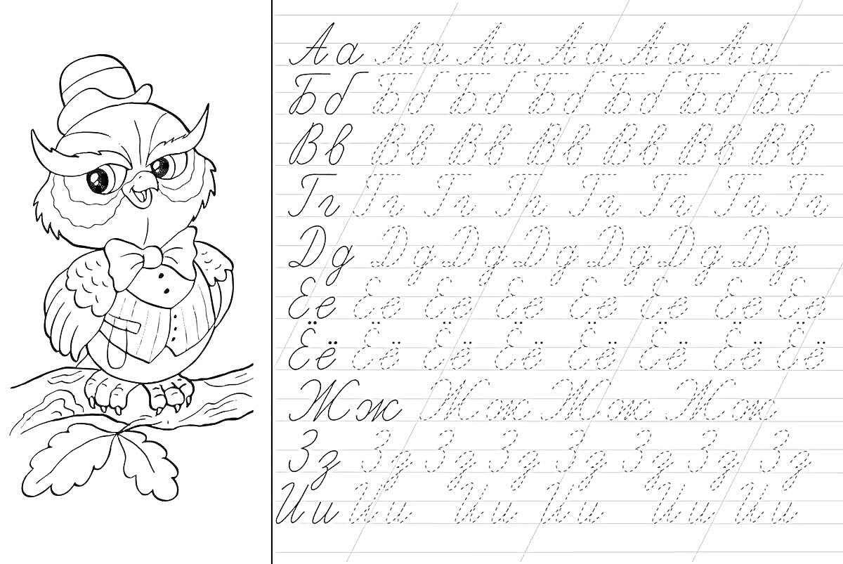 Раскраска Буквы русского алфавита с изображением совы в шляпе и галстуке-бабочке