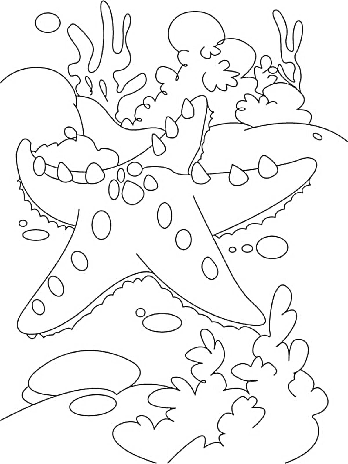 Раскраска Морская звезда среди кораллов и подводных растений
