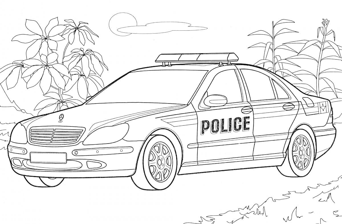 На раскраске изображено: Полицейская машина, Полиция, Природа, Растения, Облака, Фонарики, Mercedes-Benz, Авто