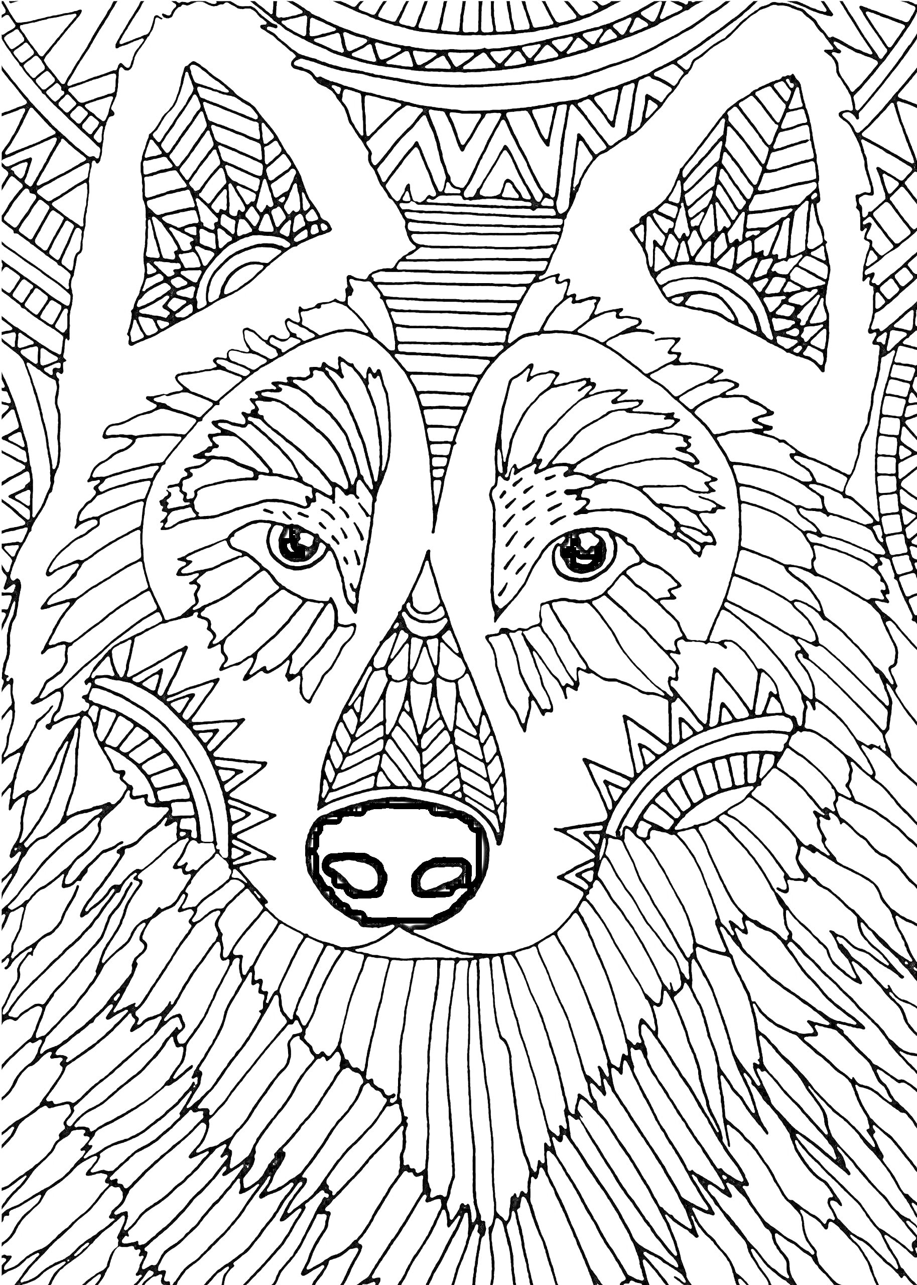 На раскраске изображено: Волк, Этнический орнамент, Зентангл, Для взрослых, Антистресс