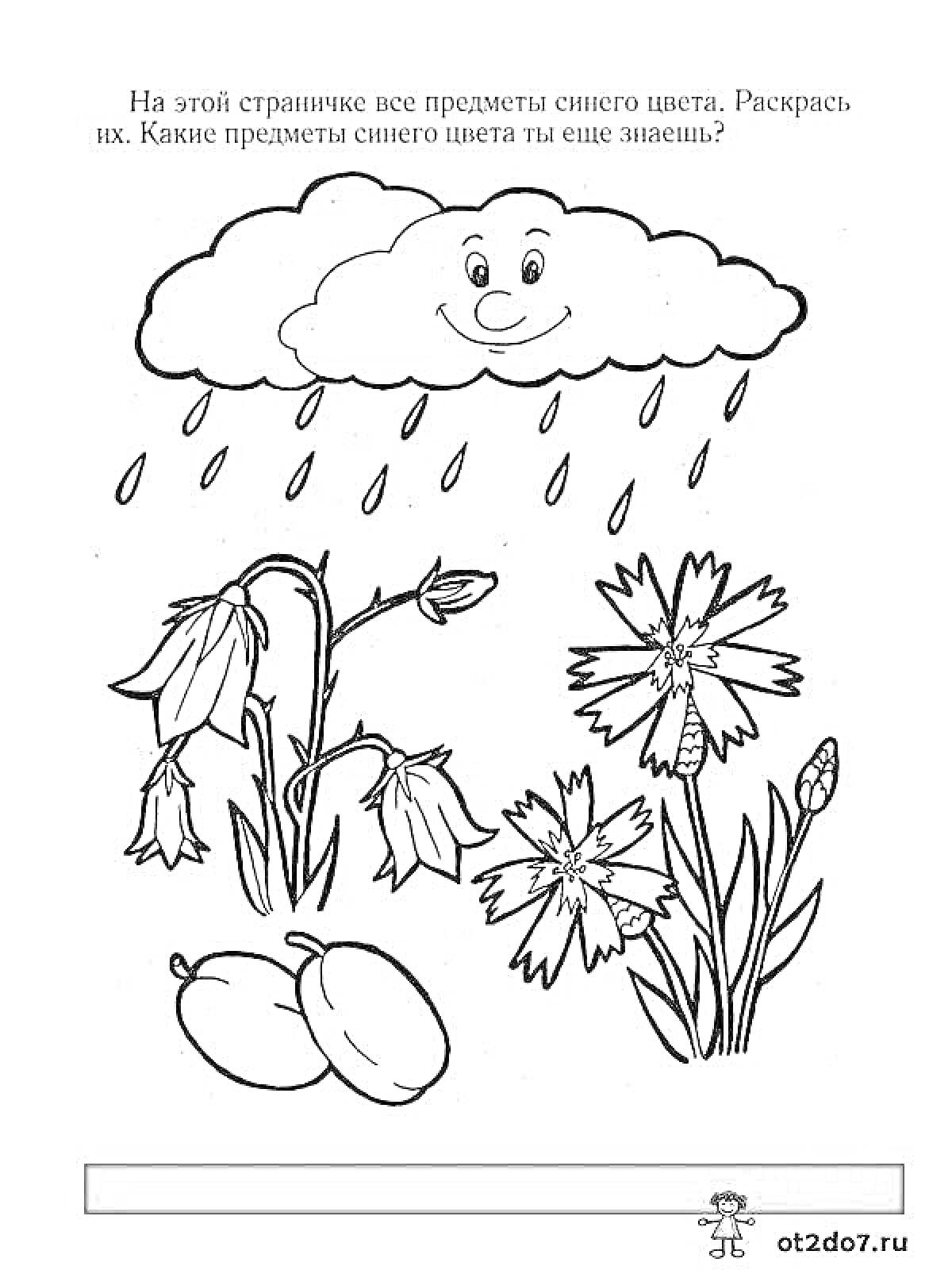 На раскраске изображено: Дождь, Цветы, Василёк, Ягоды, Учим цвета