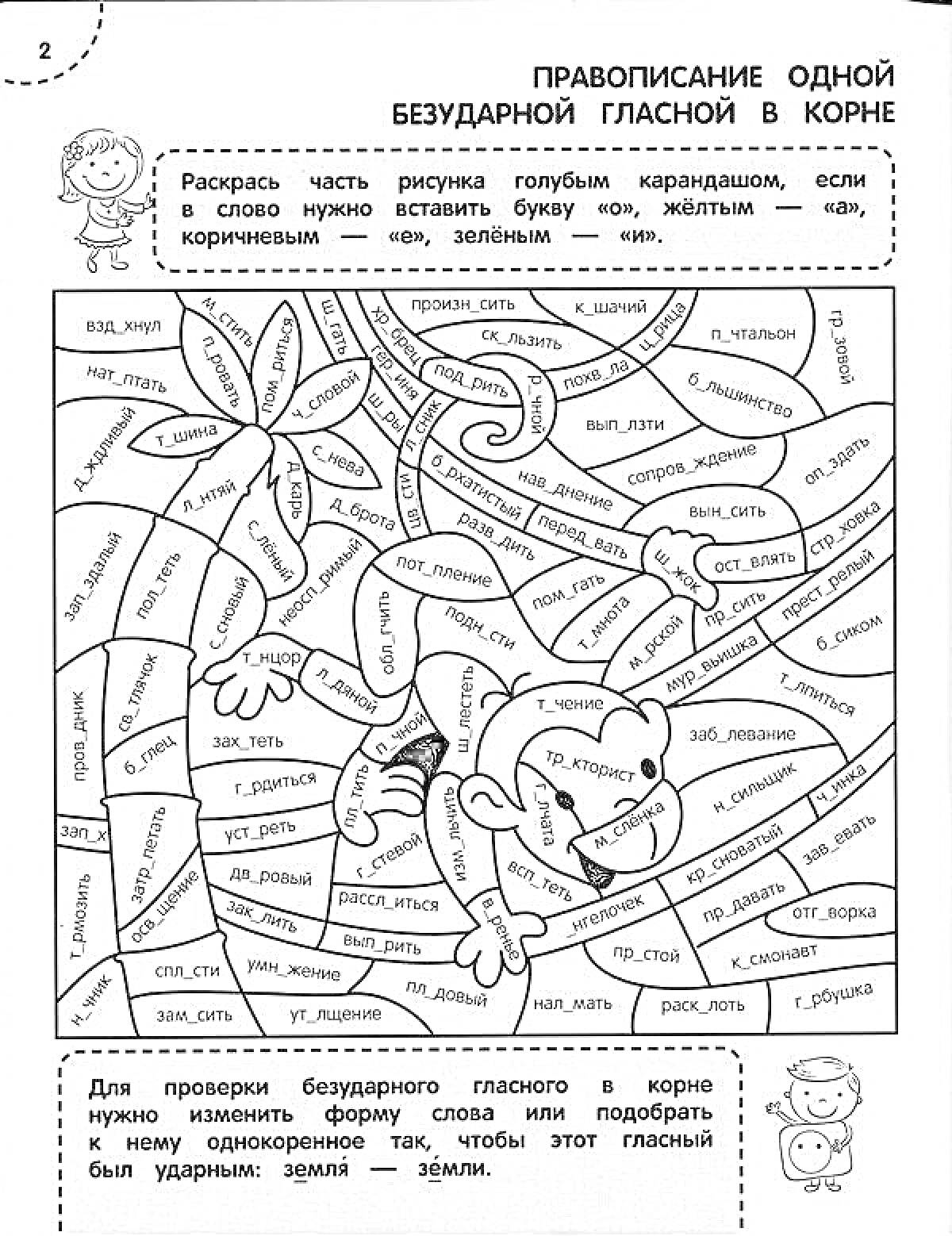 Раскраска Правописание одной безударной гласной в корне (растения, человек, примеры слов)