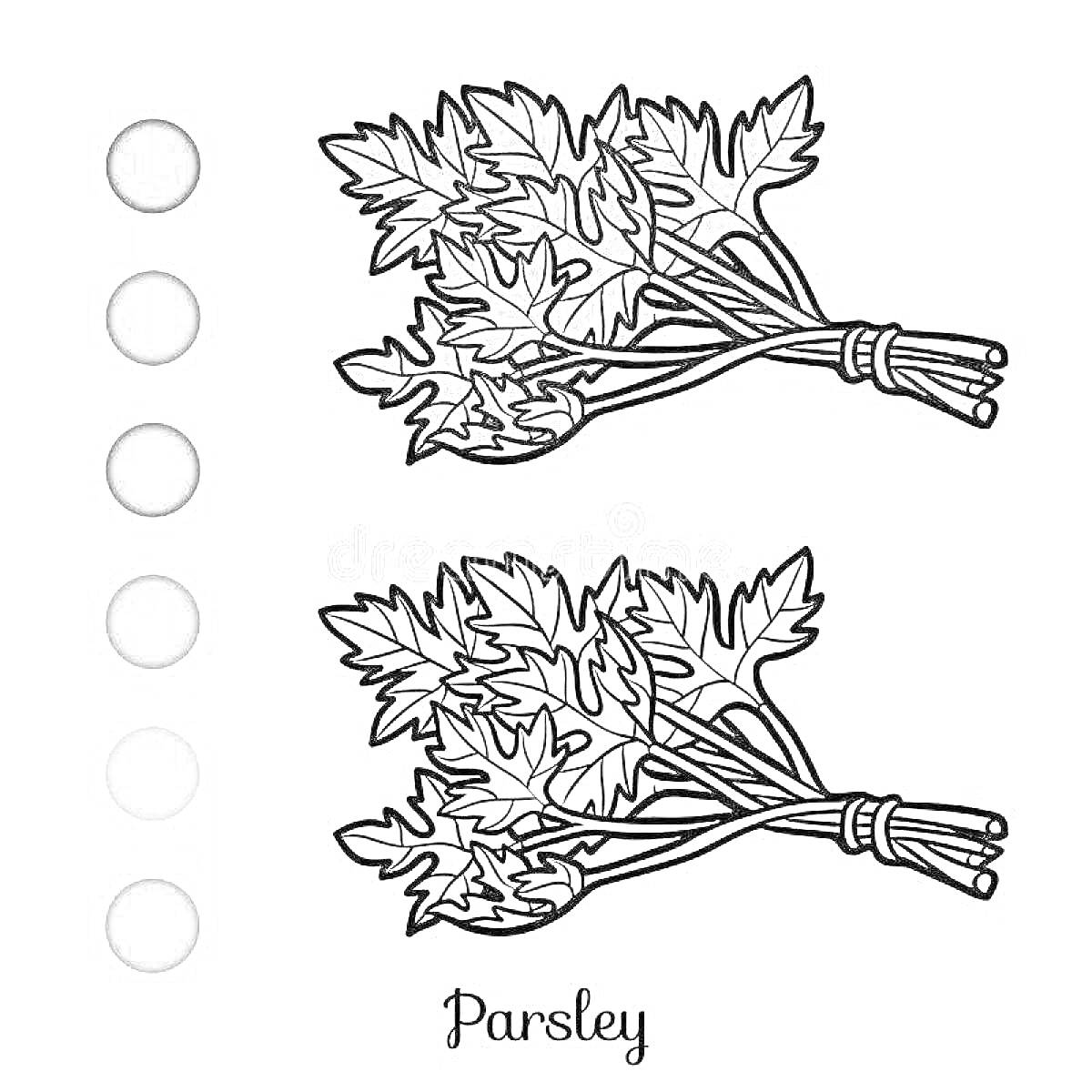 На раскраске изображено: Петрушка, Овощи, Зелень, Для детей, Оттенки серого, Растения