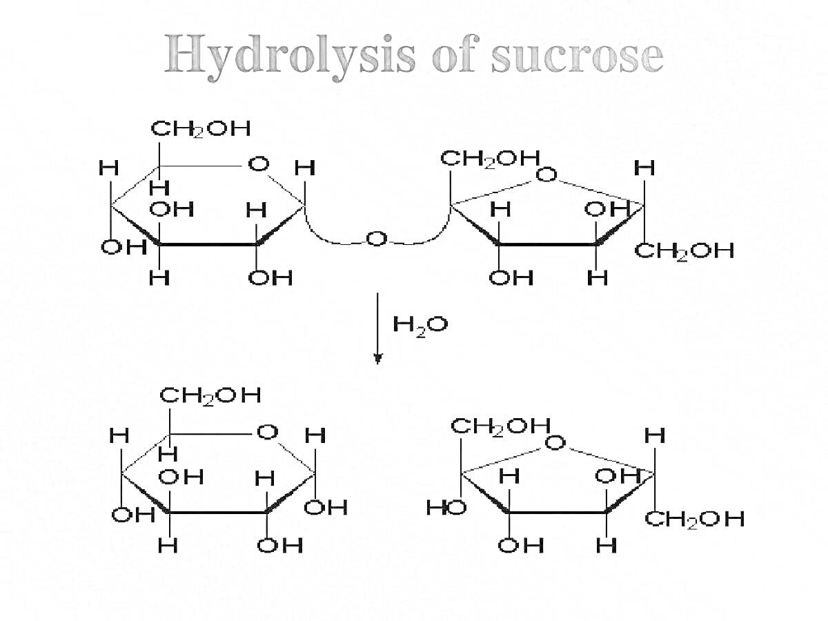 Гидролиз сахарозы с химическими структурами, включающими представление молекулы сахарозы и продукты ее расщепления на фруктозу и глюкозу, вода