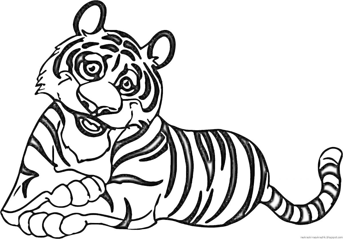 Раскраска лежащий тигр