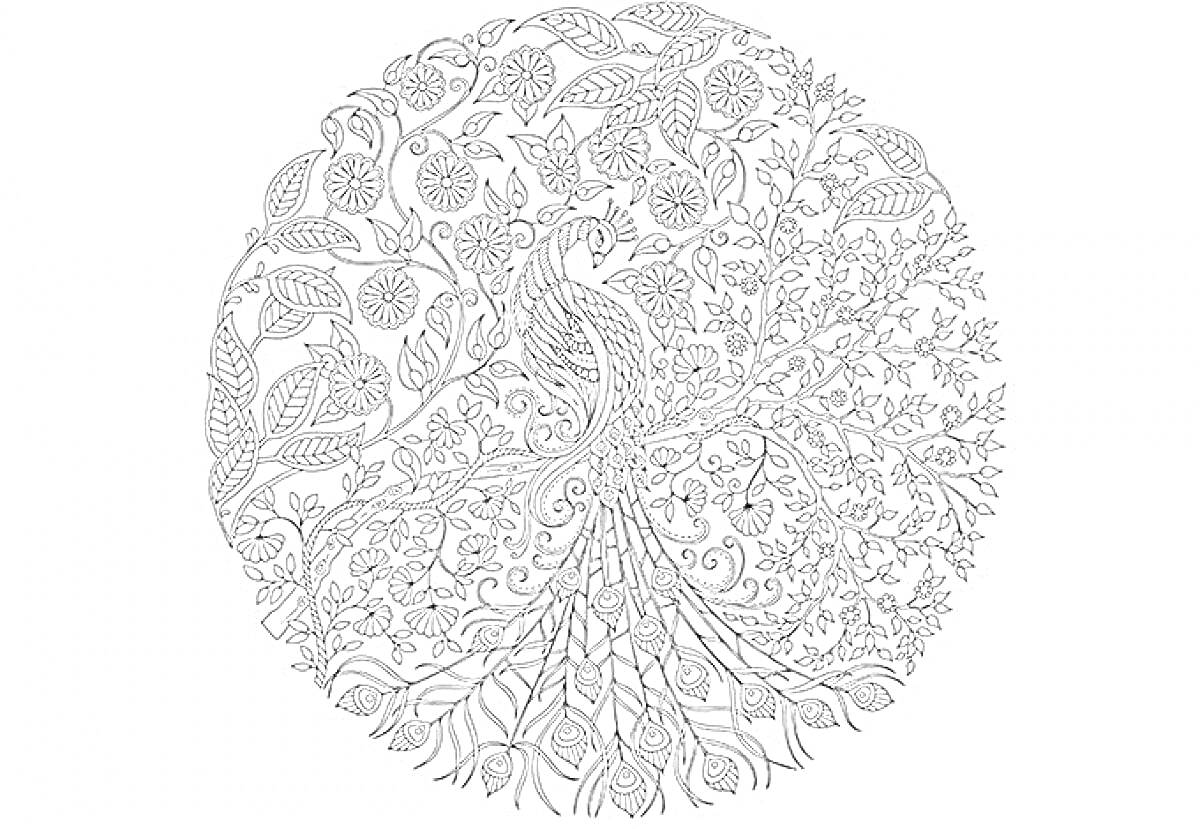 Раскраска Птица павлин среди ветвей и цветов в круглом орнаменте