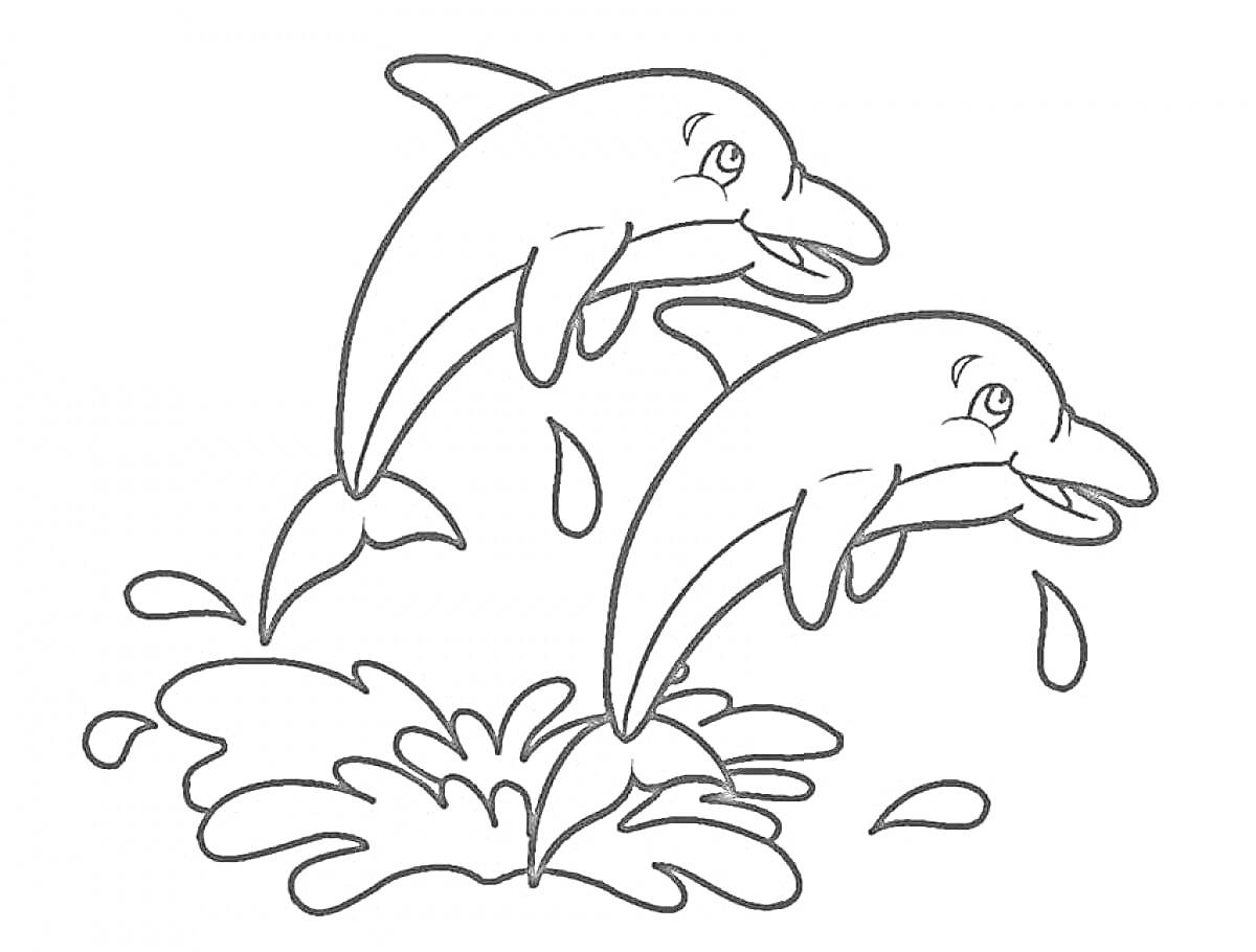 Раскраска Два прыгающих дельфина с брызгами воды