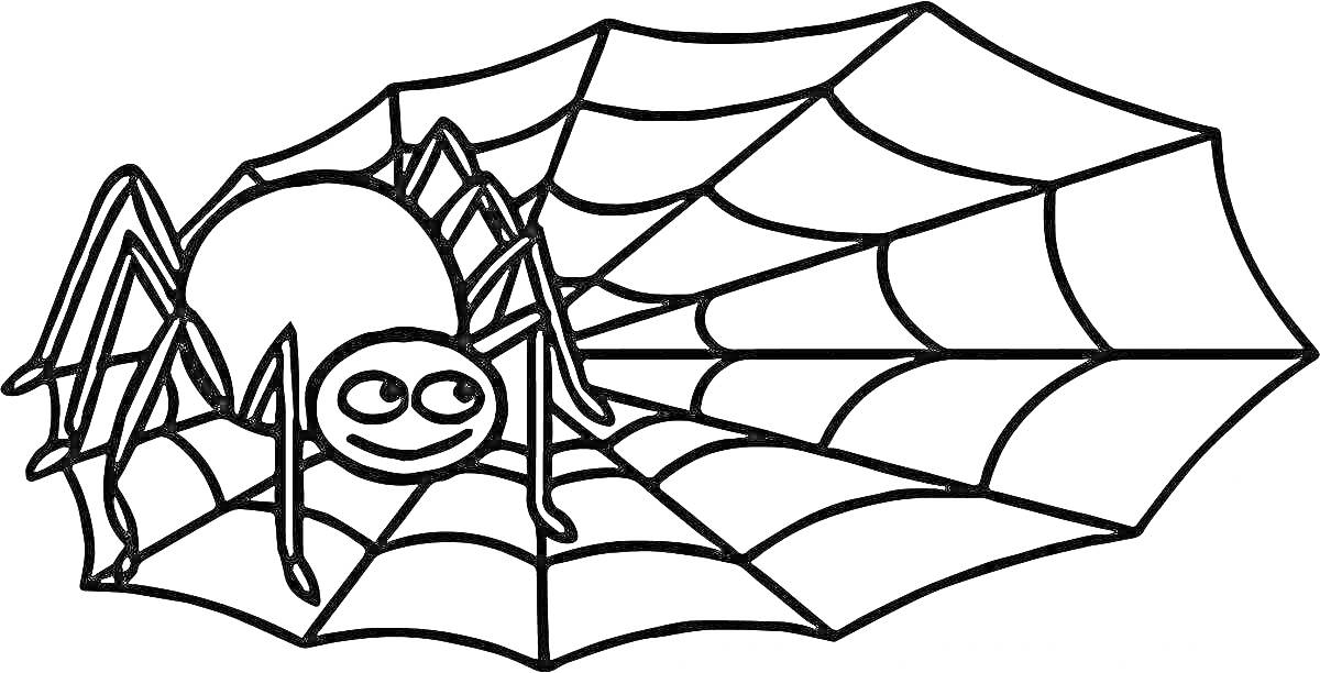 Раскраска паук на паутине, улыбающийся паук и паутина