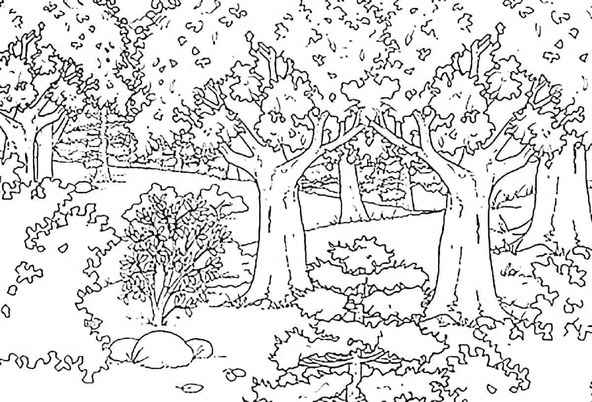 Раскраска Лесная поляна с деревьями, кустами и камнями