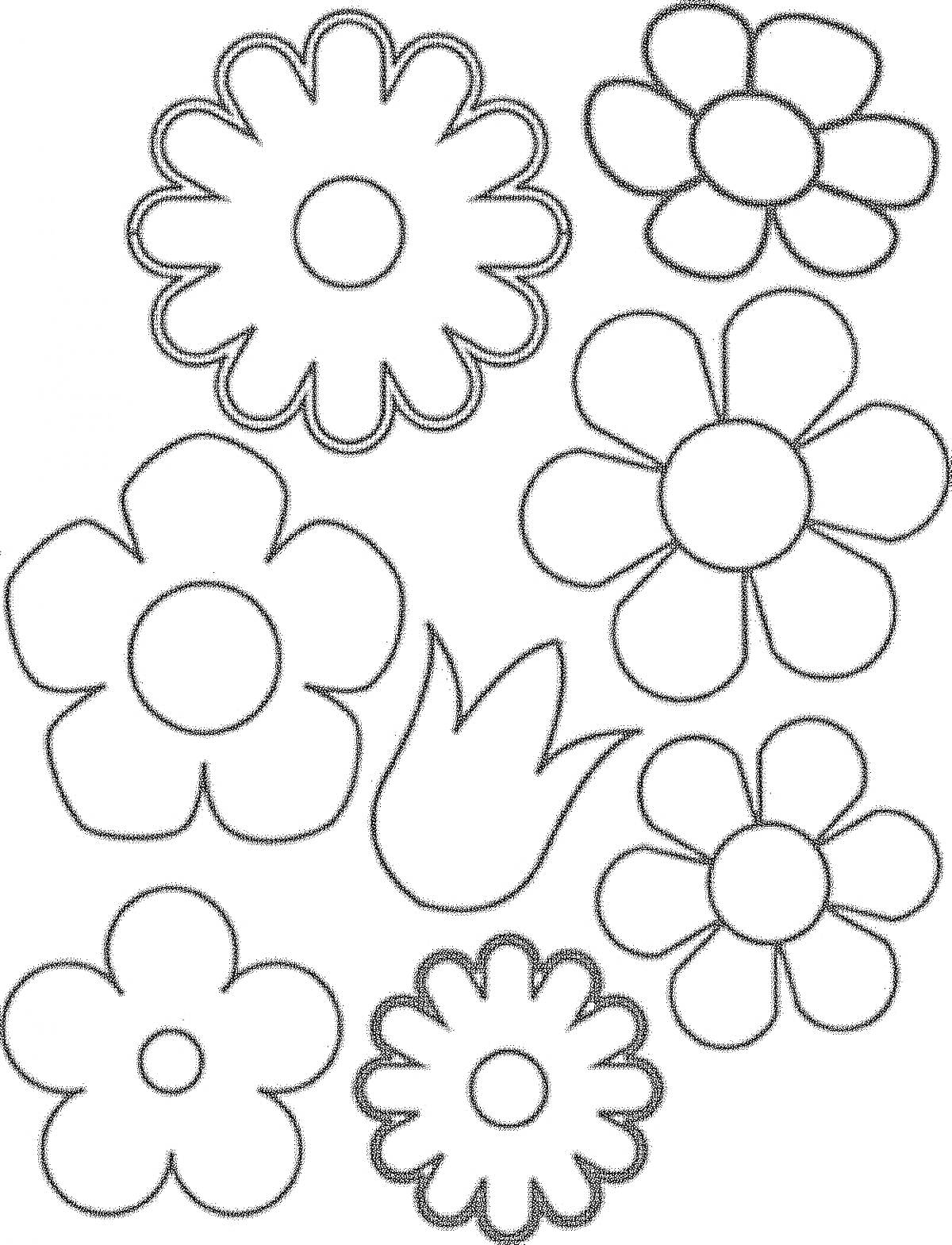 Раскраска Цветы для аппликаций