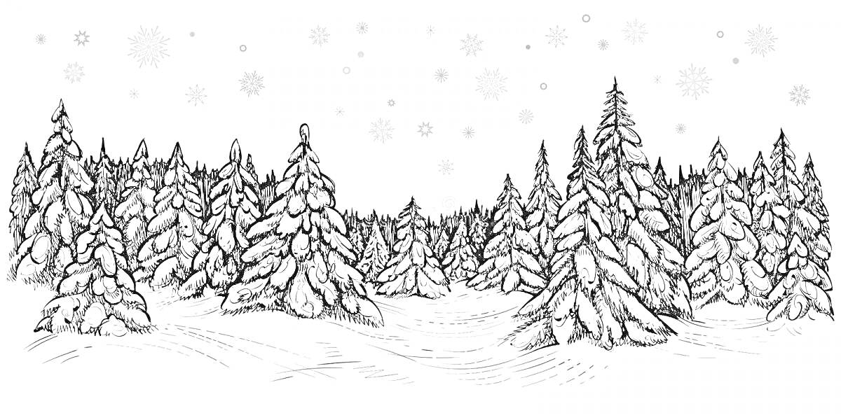 На раскраске изображено: Еловый лес, Зима, Снежный лес, Ёлки, Снег, Снежинки, Природа, Лесной пейзаж, Зимний лес