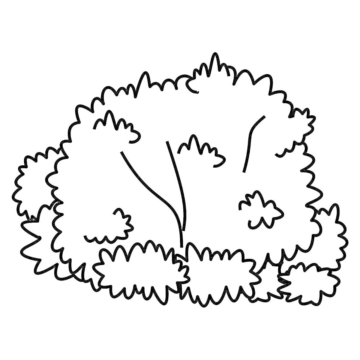 Раскраска кустарник с ветвями и листьями