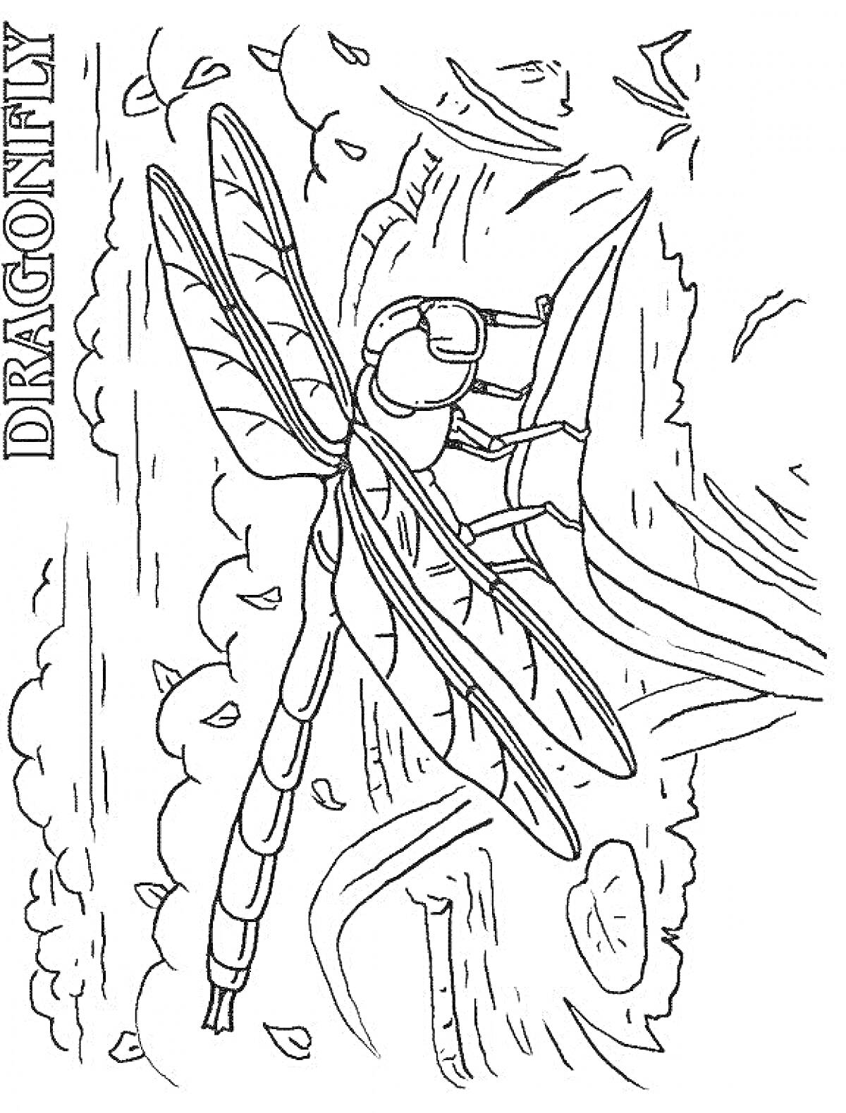 Раскраска Стрекоза на ветке среди природы и деревьев, логотип DRAGONFLY
