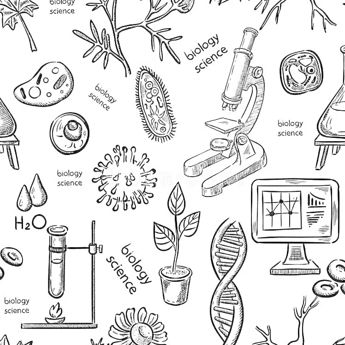 На раскраске изображено: Биология, Вирусы, Микроскоп, Колба, Молекулы, ДНК, Компьютер, Графики, Бактерии, Листья, Лаборатория