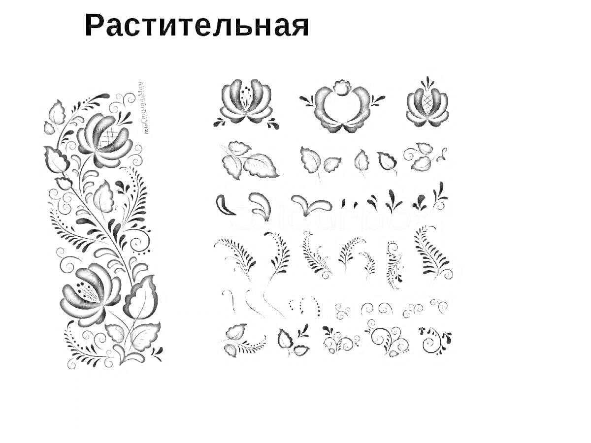 Раскраска Растительная, элементы традиционной гжельской росписи: цветы, лепестки, завитки, листья, элементы растительного орнамента