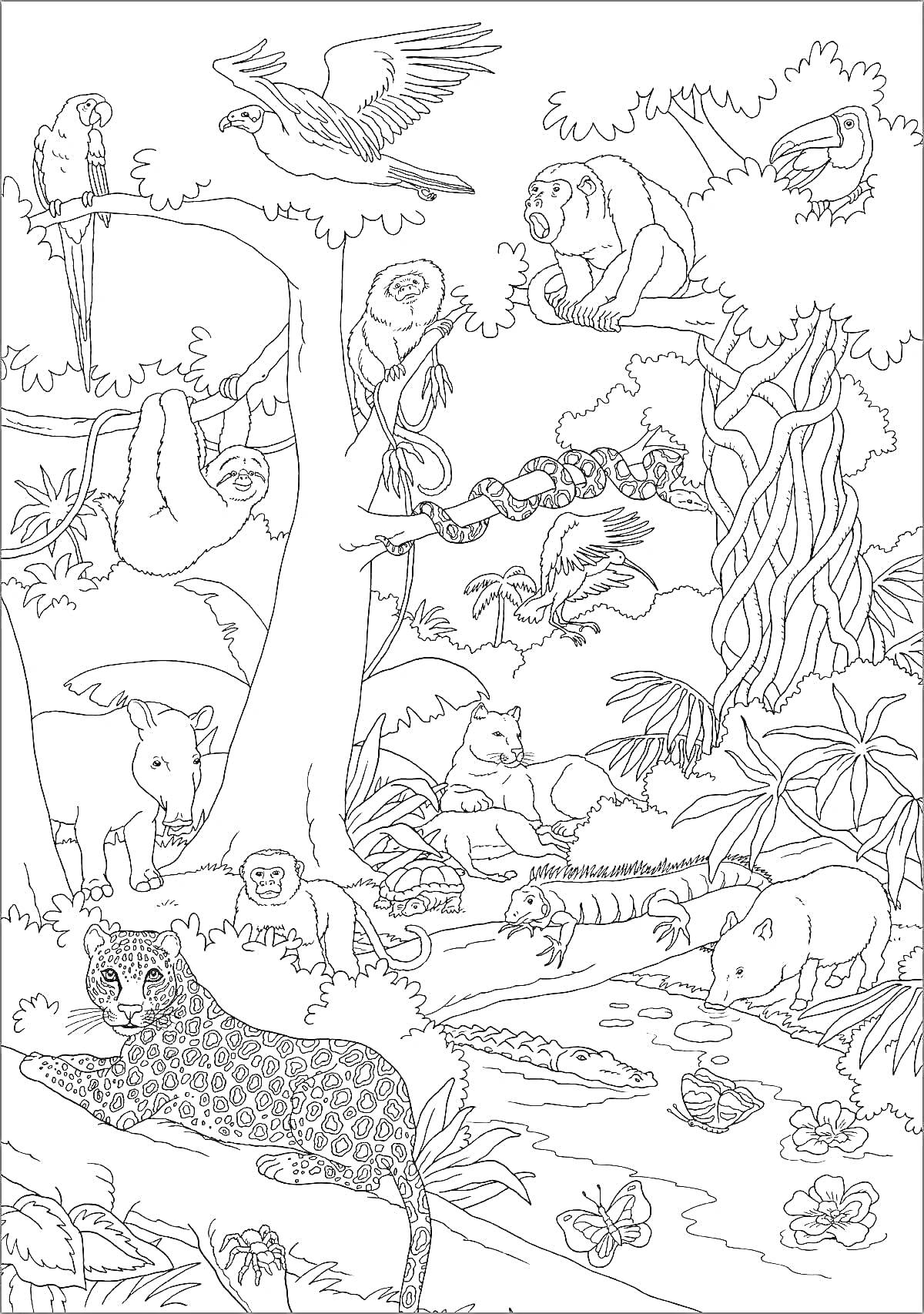 На раскраске изображено: Джунгли, Животные, Леопард, Попугаи, Слон, Тапир, Игуана, Лягушки, Муравьед, Ленивец, Природа, Деревья