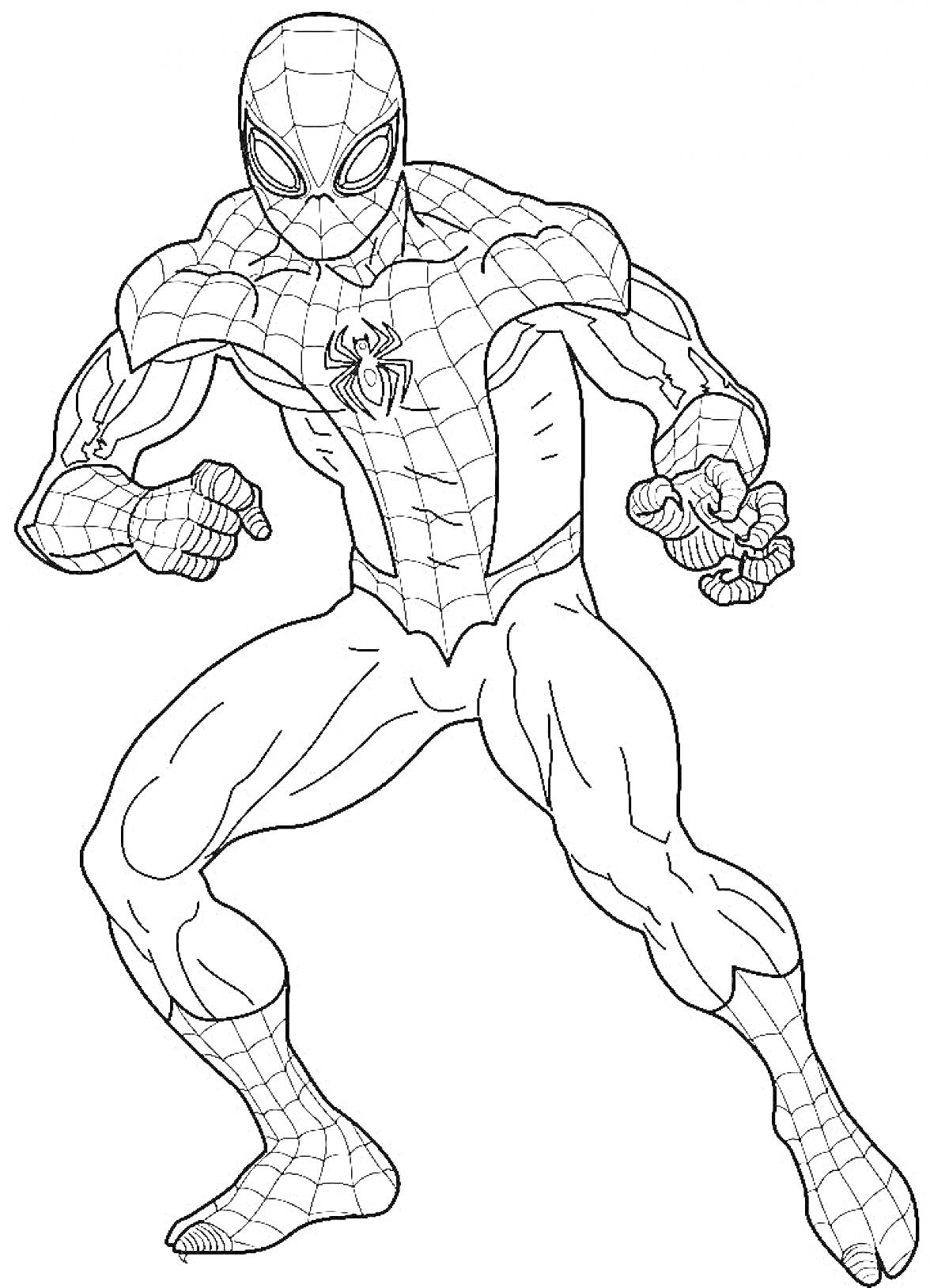 Раскраска Человек-паук в боевой стойке