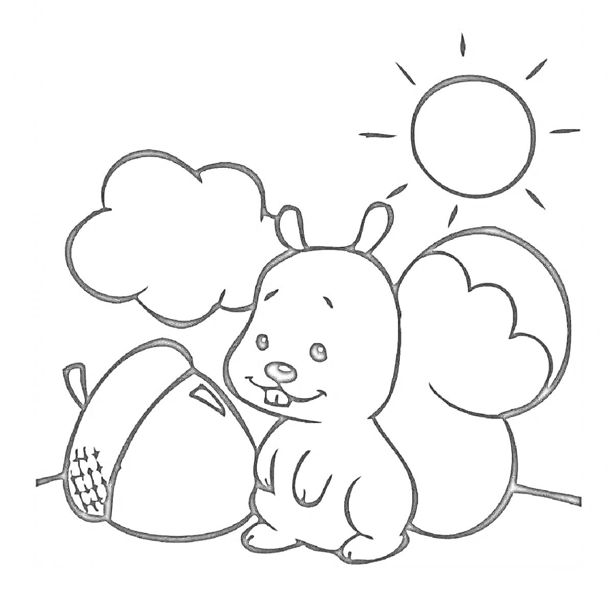 Раскраска Белка, желудь, солнце, облако