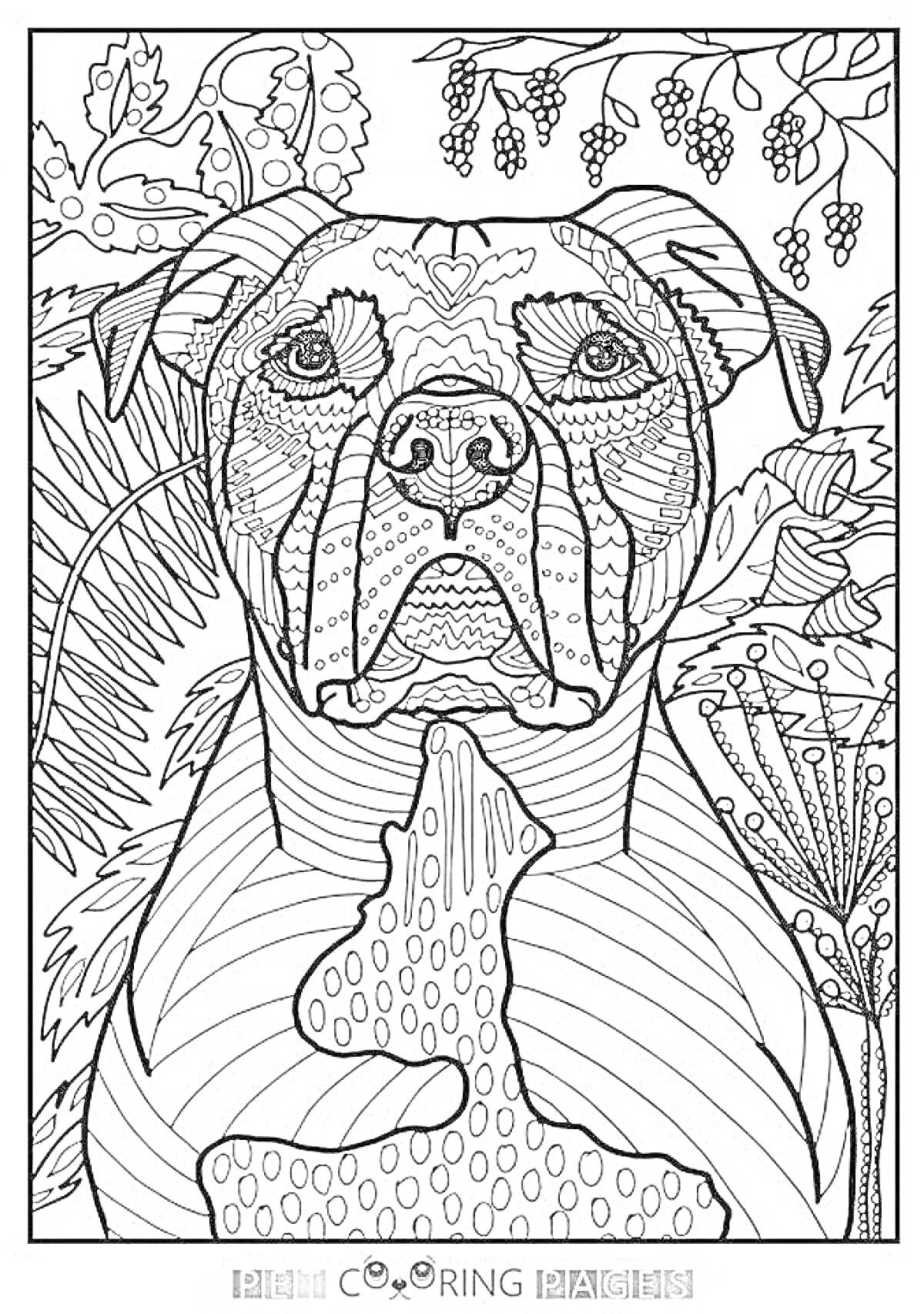 Раскраска Собака по номерам с листьями и ягодами