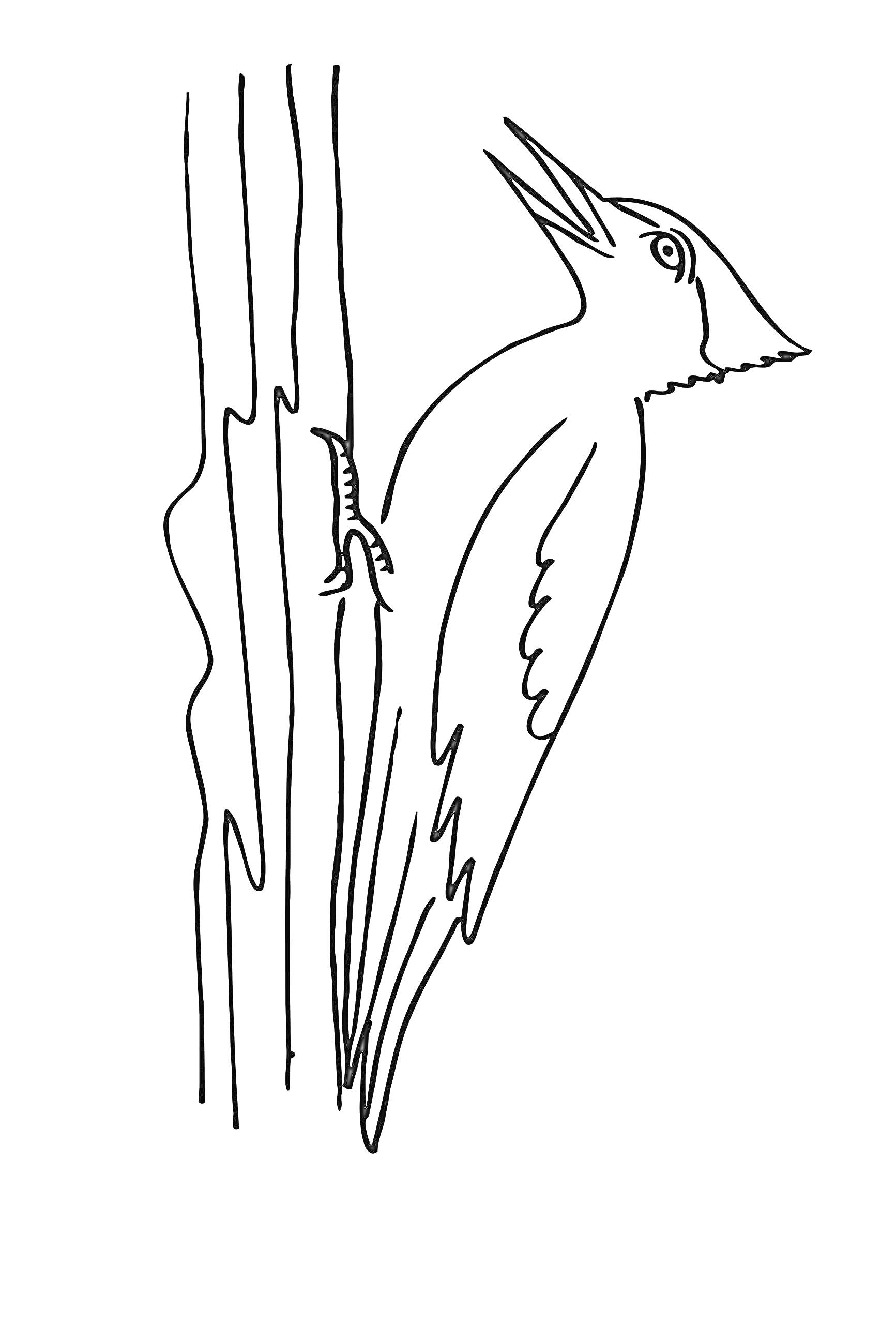 Раскраска Дятел на дереве