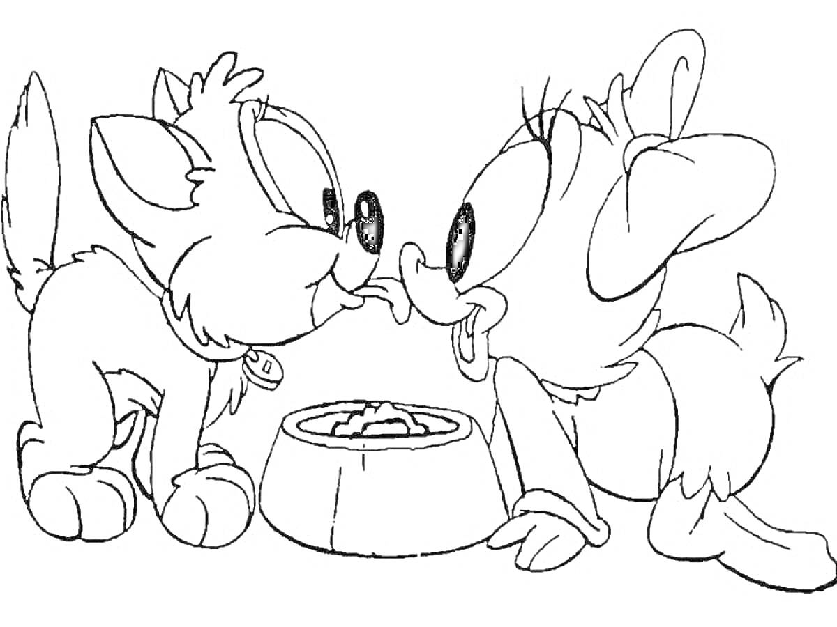 Раскраска Котенок и щенок едят из миски