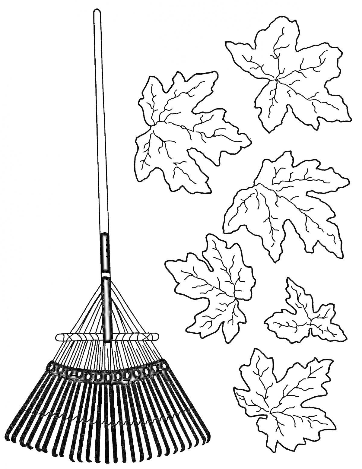 На раскраске изображено: Метла, Листья, Осень, Уборка, Инструмент