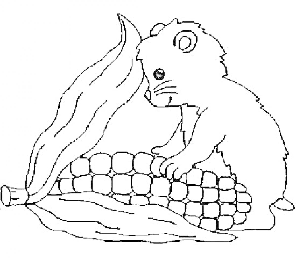 Раскраска Мышонок с початком кукурузы