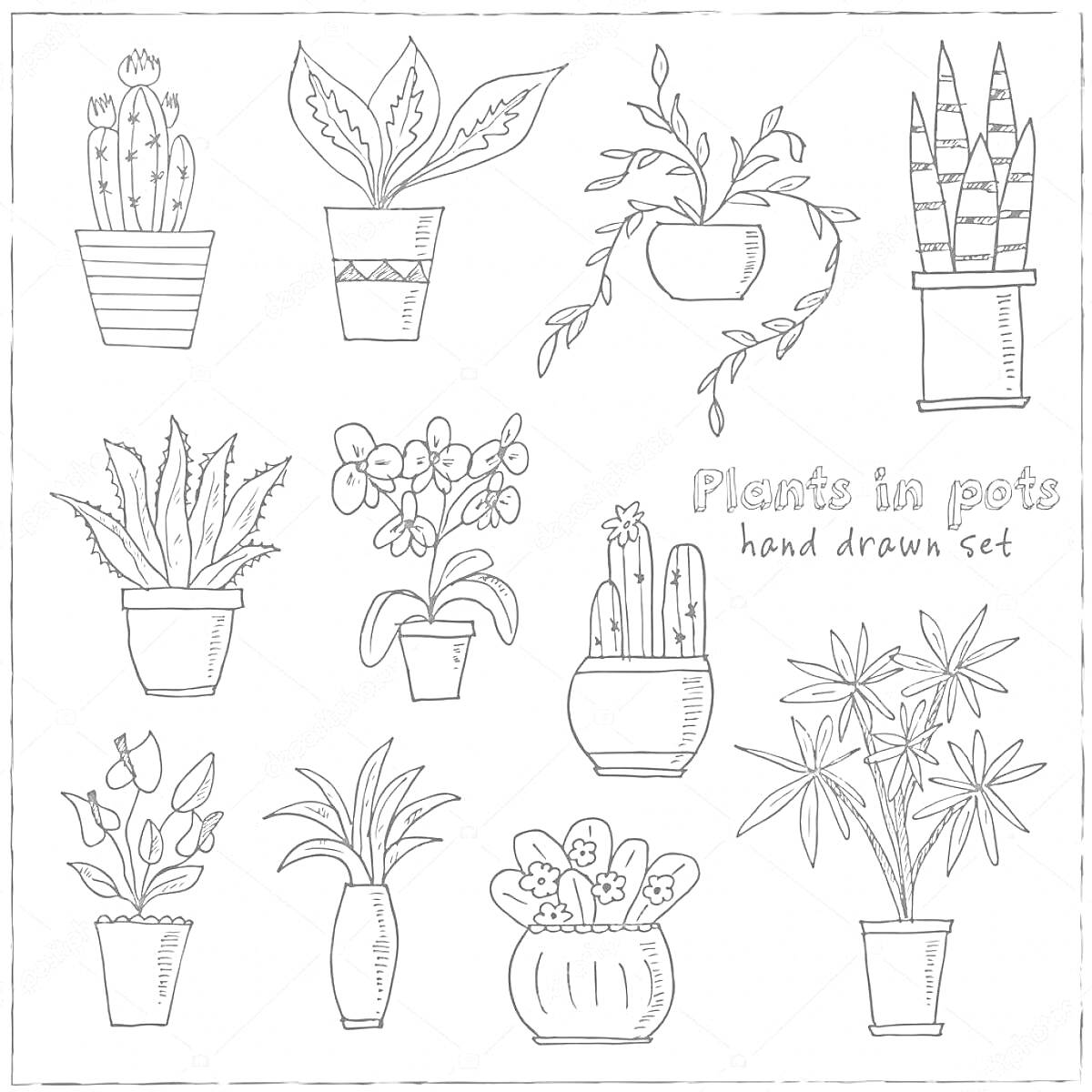 Раскраска Комнатные растения в горшках (кактусы, цветущие растения, пальмы, суккуленты)