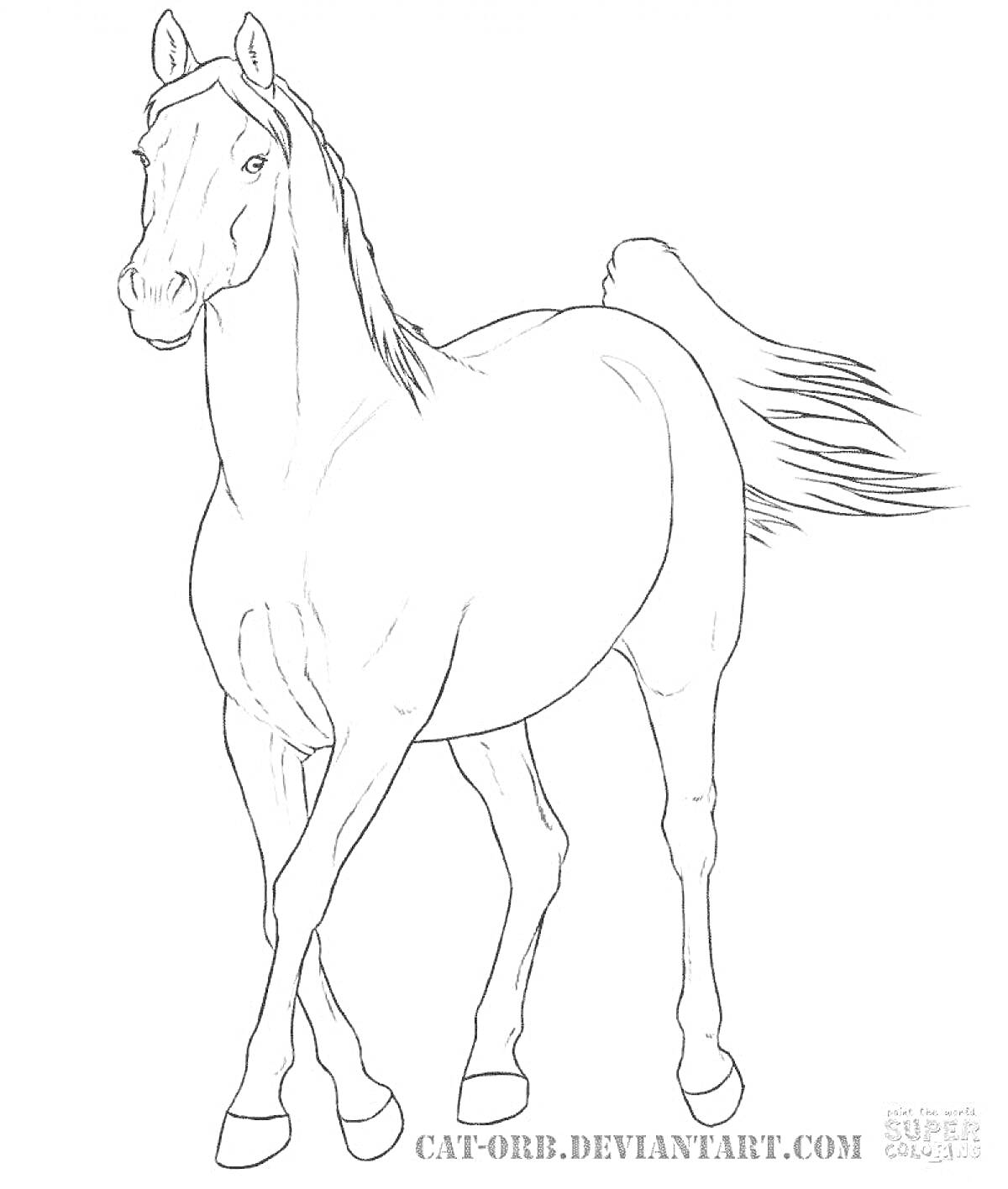 На раскраске изображено: Лошадь, Профиль, Для детей, Творчество