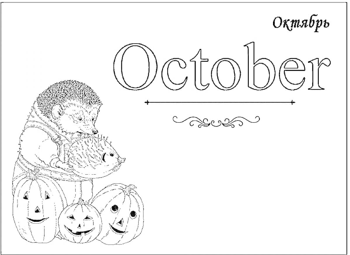 На раскраске изображено: Октябрь, Хэллоуин, Осень, Творчество, Для детей, Тыква, Еж