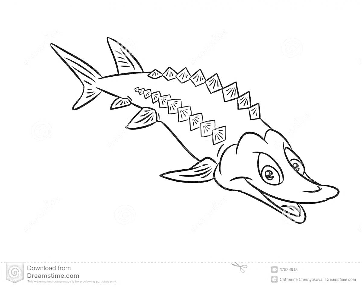 Раскраска Раскраска с изображением стерляди с ромбовидными щитками на спине