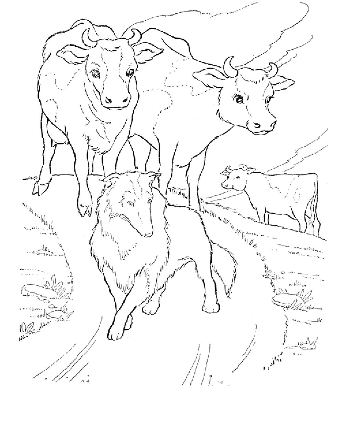 На раскраске изображено: Деревня, Собака, Природа, Сельская местность, Животные, Поля