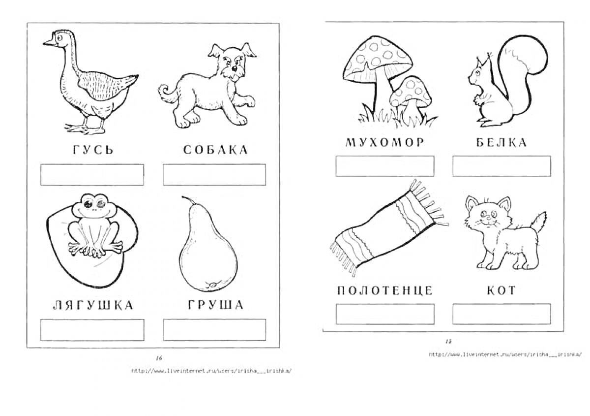 На раскраске изображено: Слоги, 1 класс, Собака, Мухомор, Белка, Полотенце, Кот, Русский язык