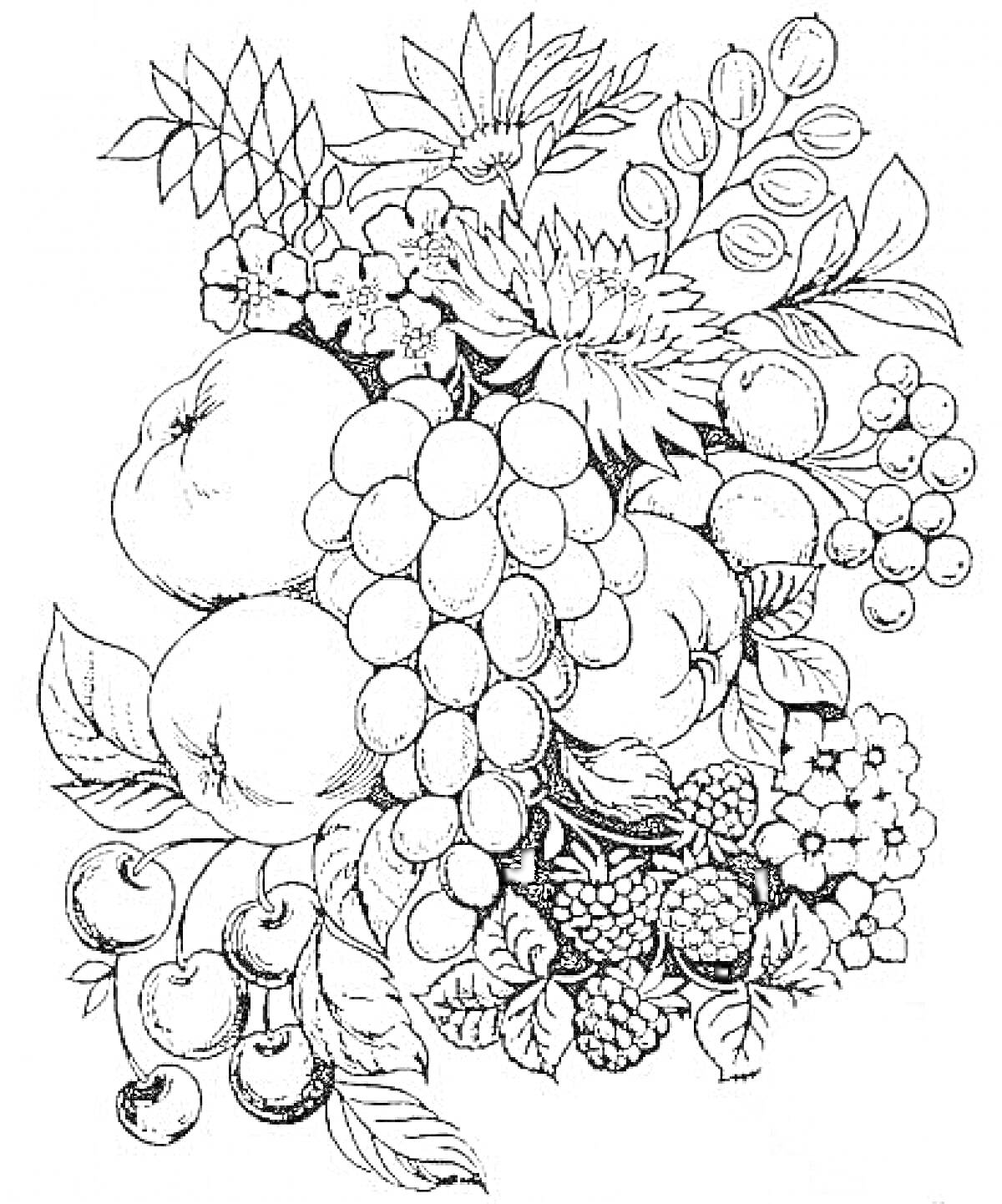 Раскраска Композиция с фруктами и цветами: яблоки, виноград, вишни, малина, цветы и листья