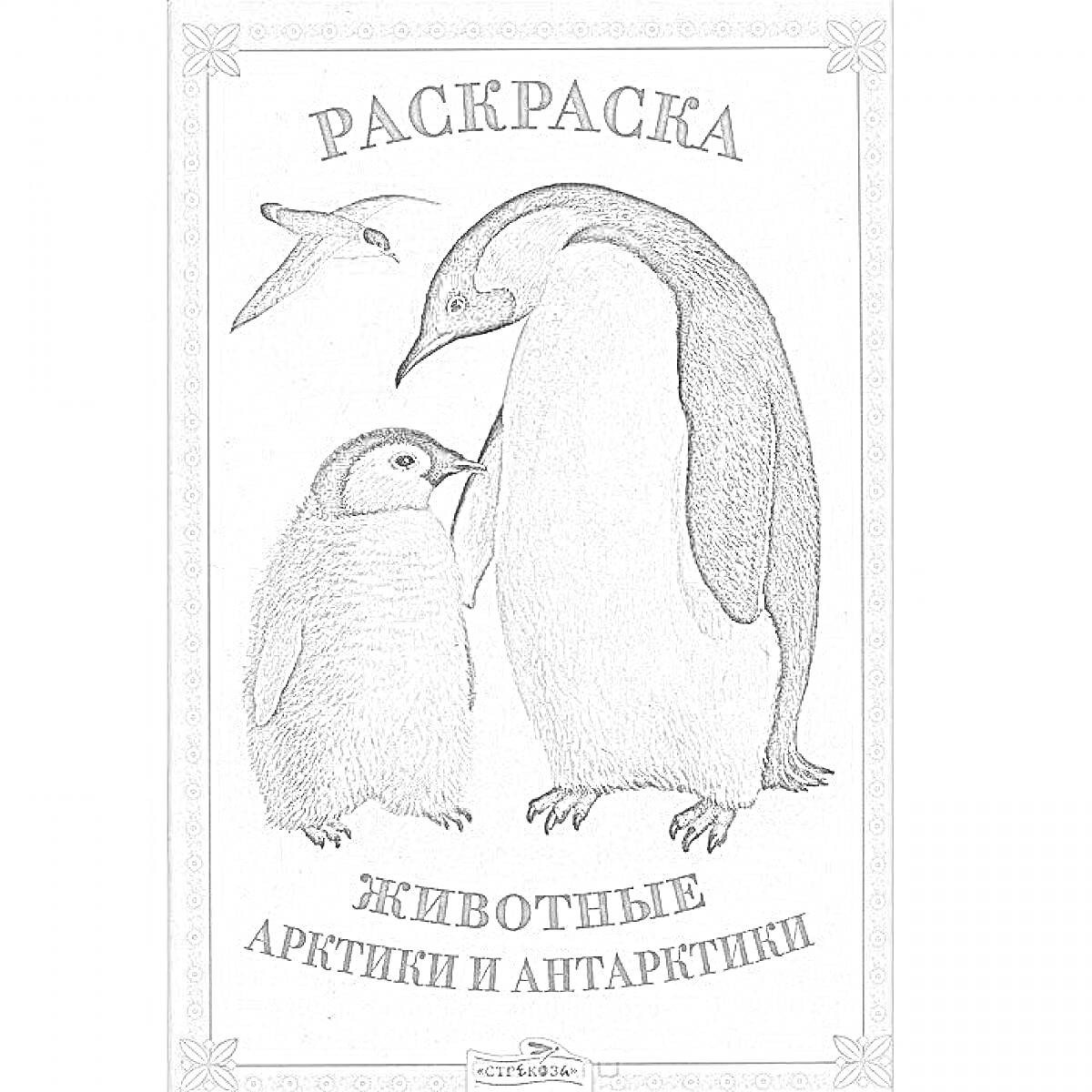 На раскраске изображено: Животные, Арктика, Антарктика, Пингвины, Птица, Птенец, Книга, Обложка