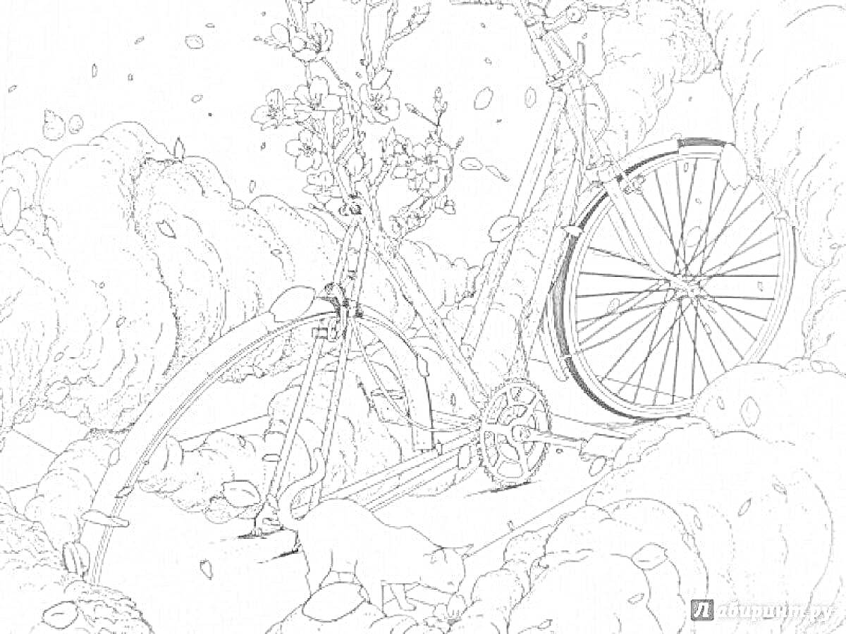 На раскраске изображено: Велосипед, Природа, Деревья, Цветы, Енот, Тропа, Путешествие, Лес