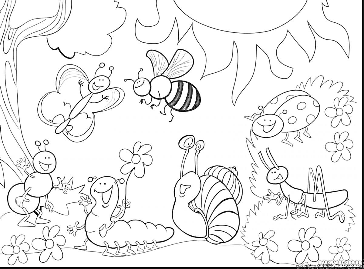 На раскраске изображено: Бабочка, Муравей, Улитка, Кузнечик, Цветы, Солнце, Листья, Природа