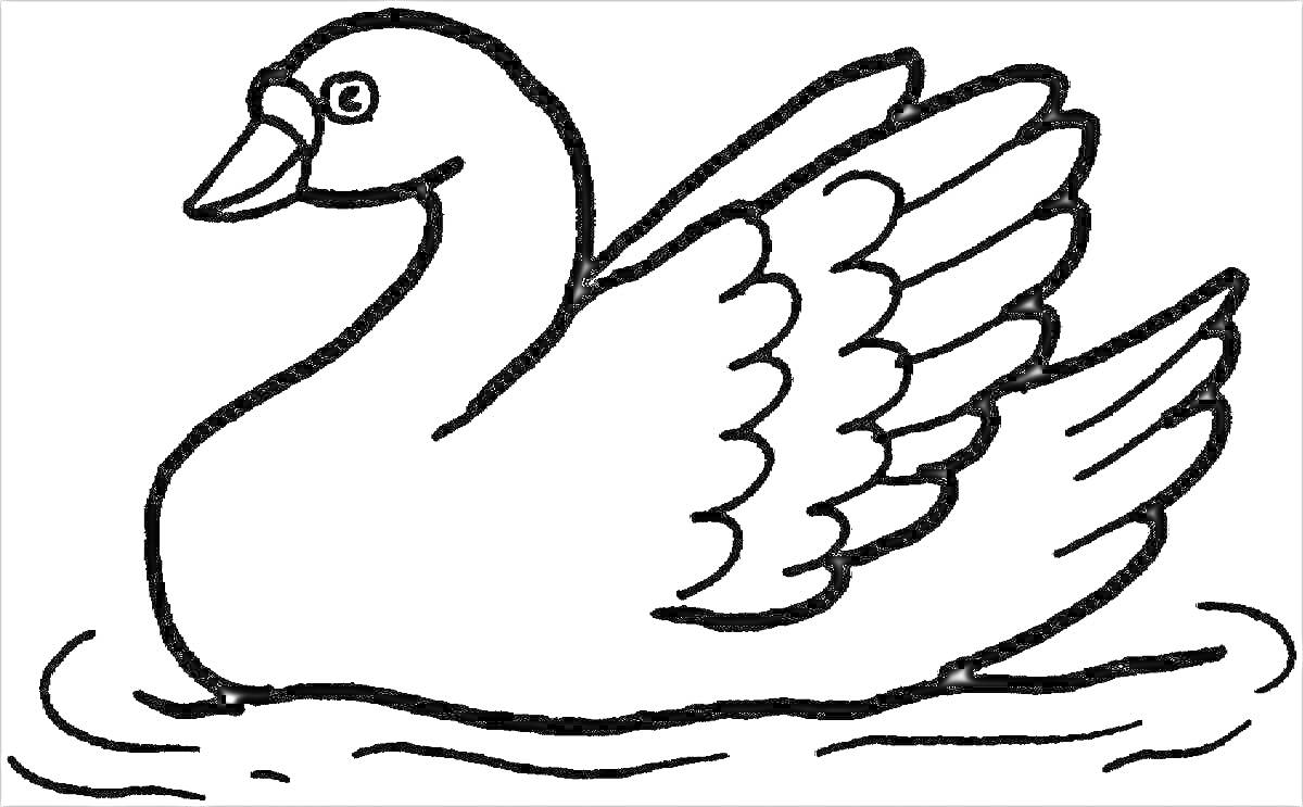 На раскраске изображено: Лебедь, Птица, Вода, Крылья, Плавание