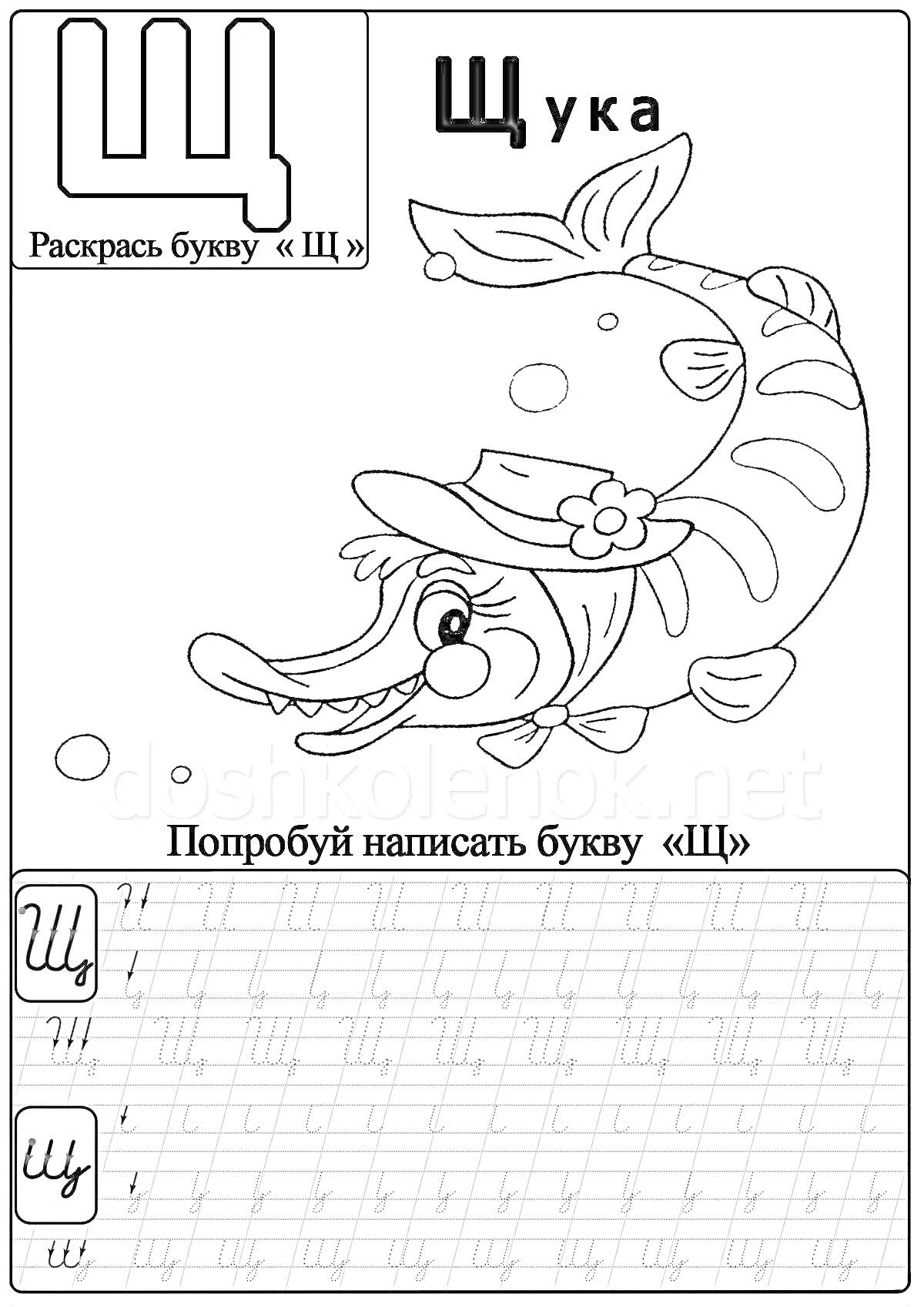 На раскраске изображено: Буква Щ, Щука, 1 класс, Обучение, Алфавит, Школа, Прописи