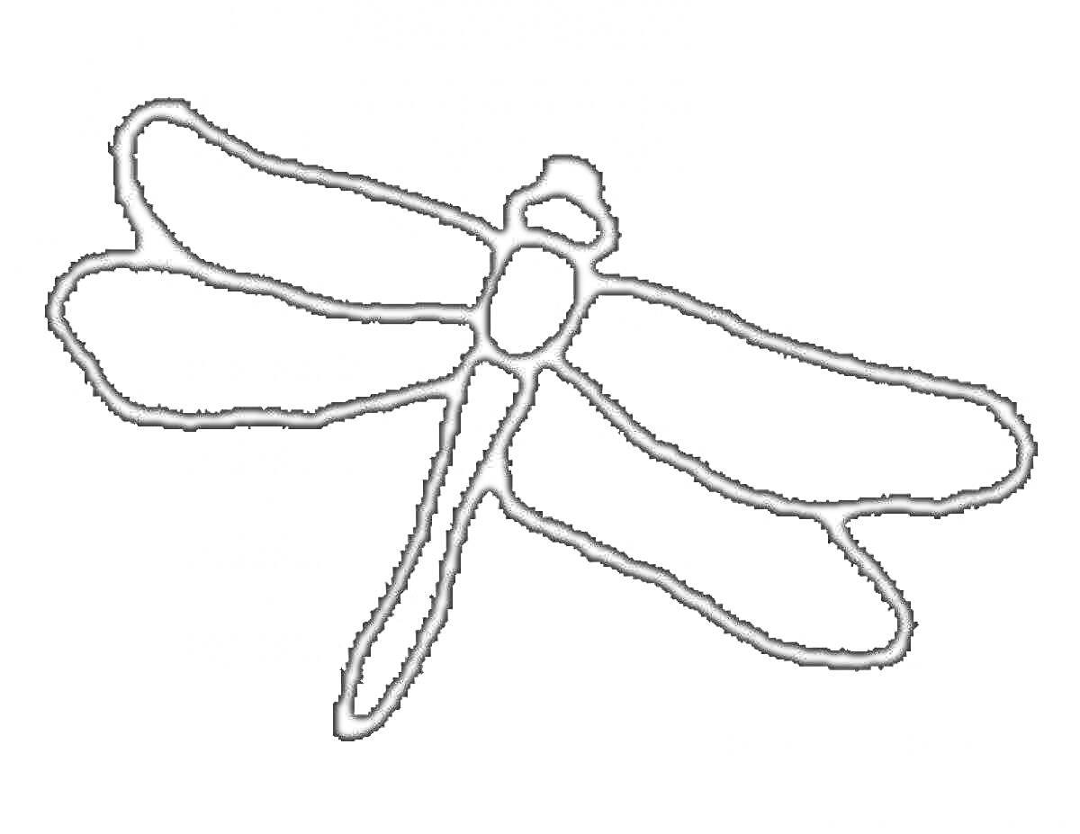 Раскраска Стрекоза с четырьмя крыльями и длинным телом