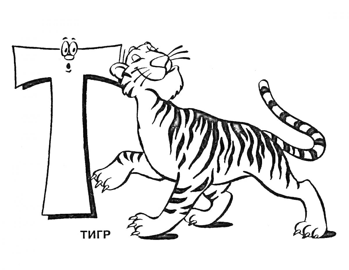 На раскраске изображено: Буква Т, Тигр, Для детей, Алфавит, Животные